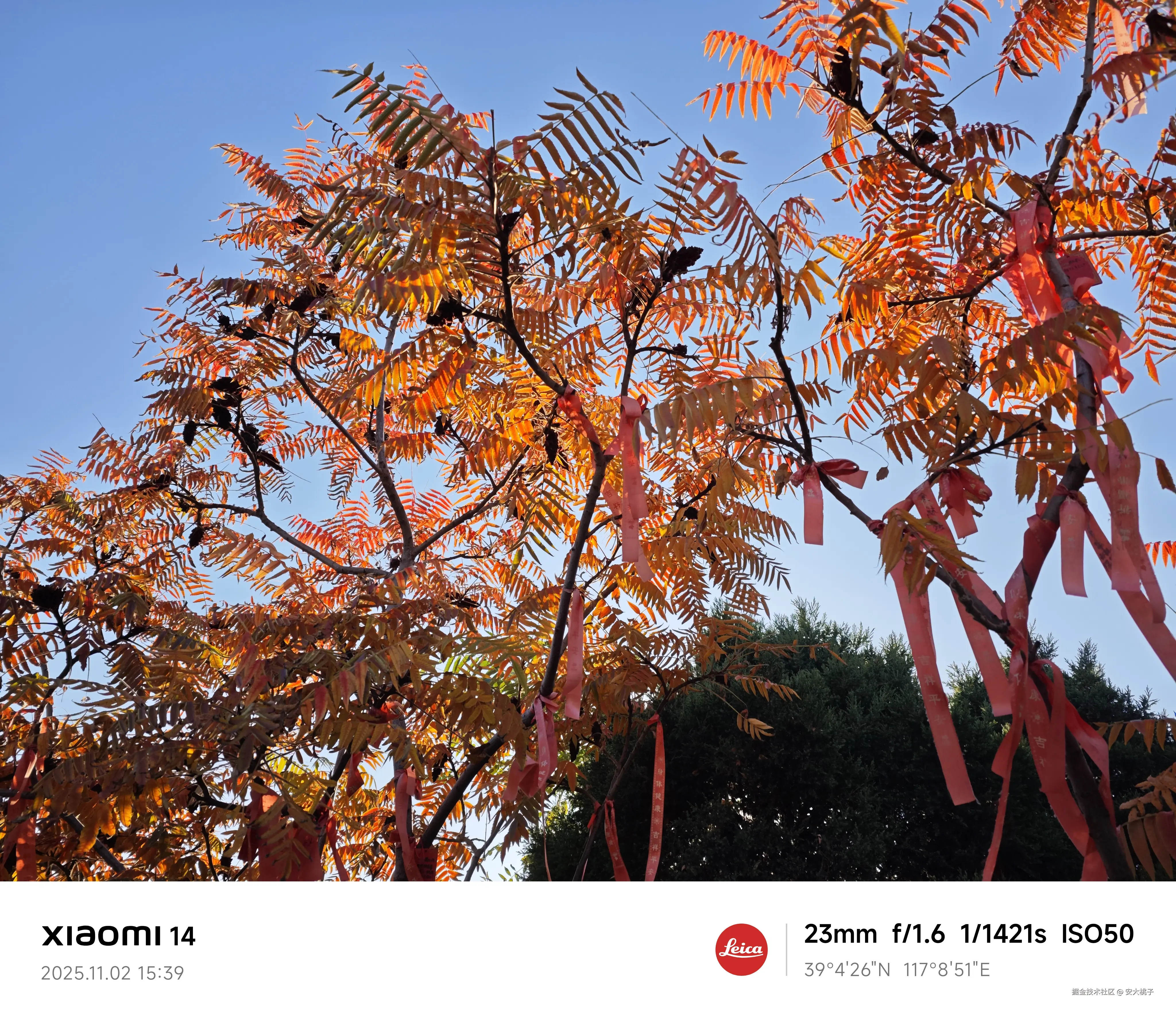 安大桃子于2025-11-02 16:48发布的图片