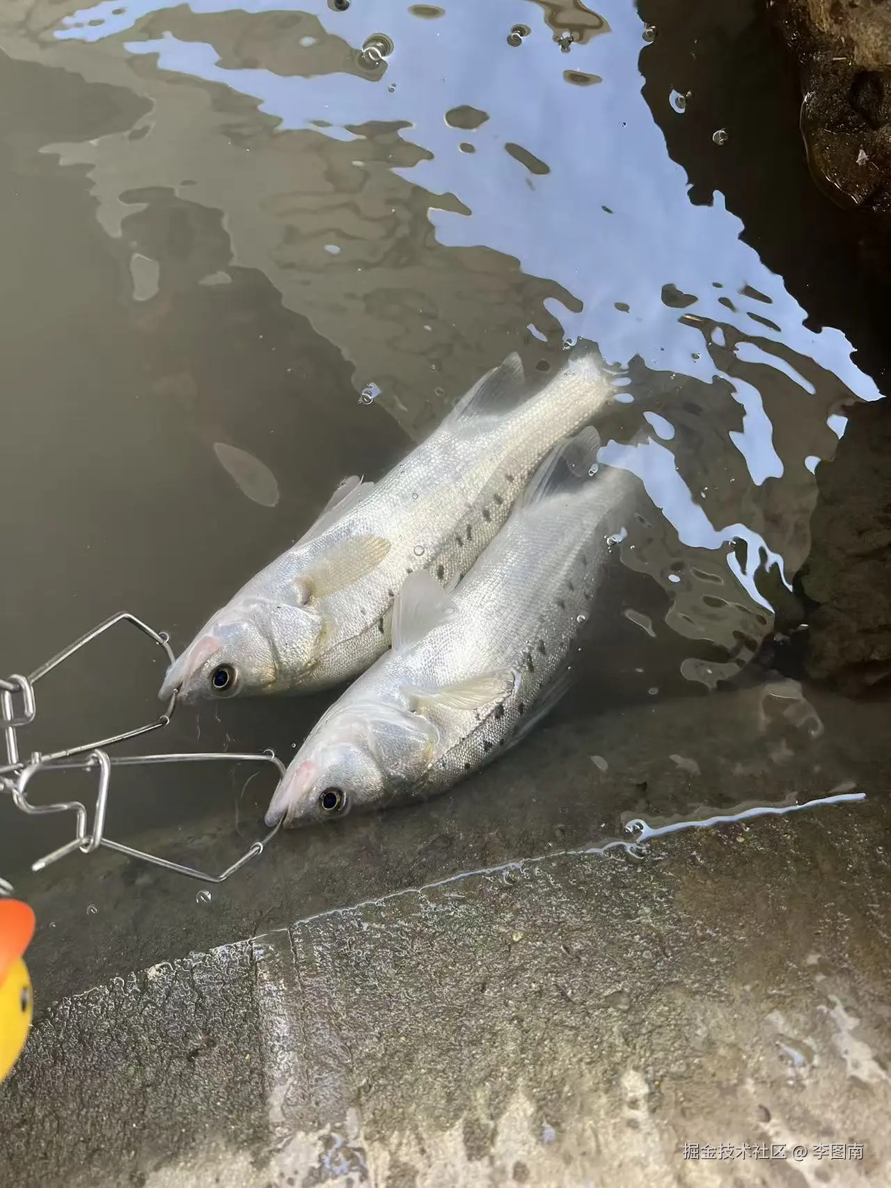 李图南于2025-10-28 13:15发布的图片