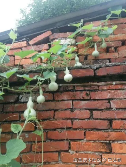 已注销于2025-06-18 15:33发布的图片