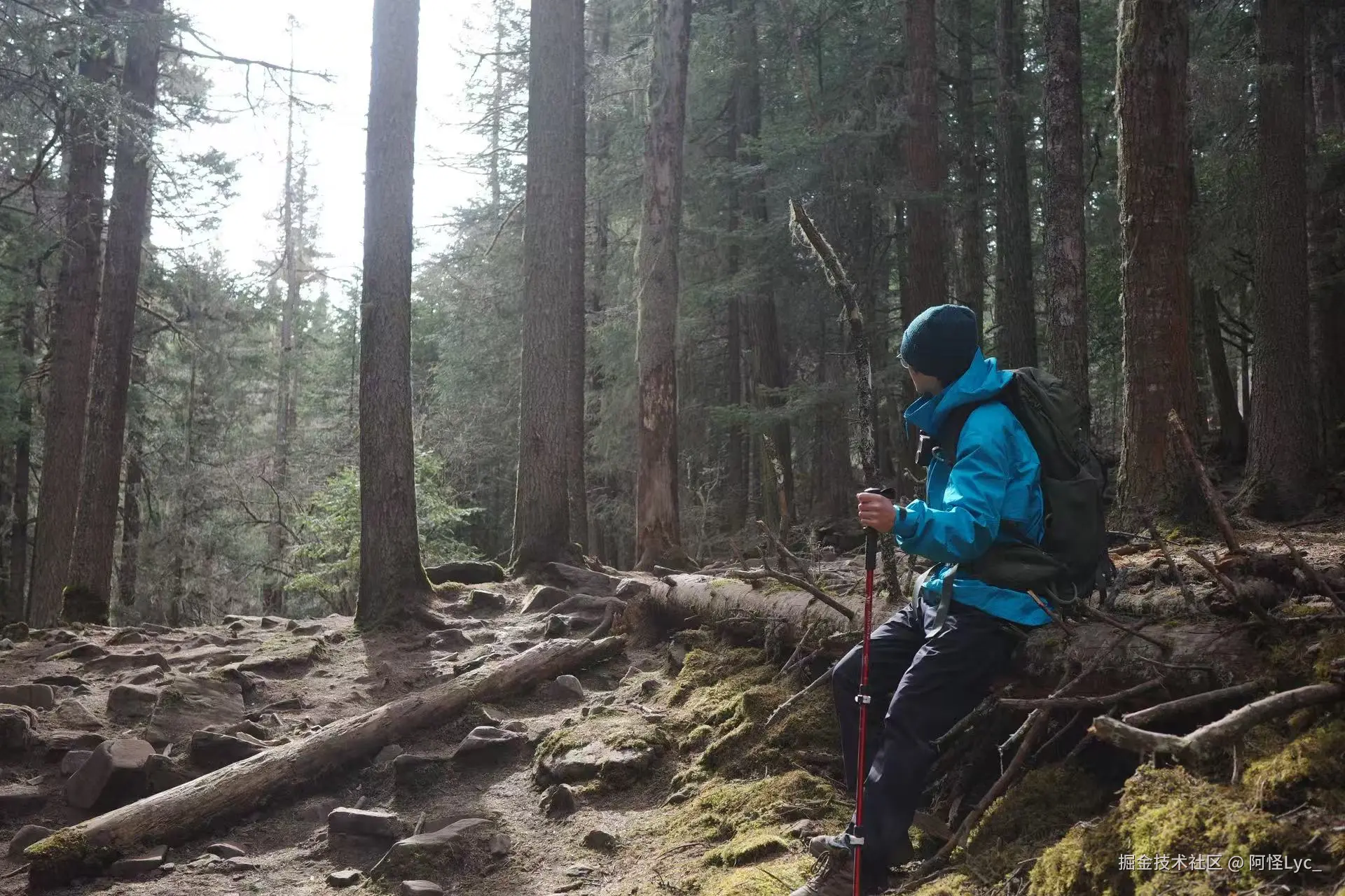 阿怪Lyc_于2025-12-30 10:21发布的图片