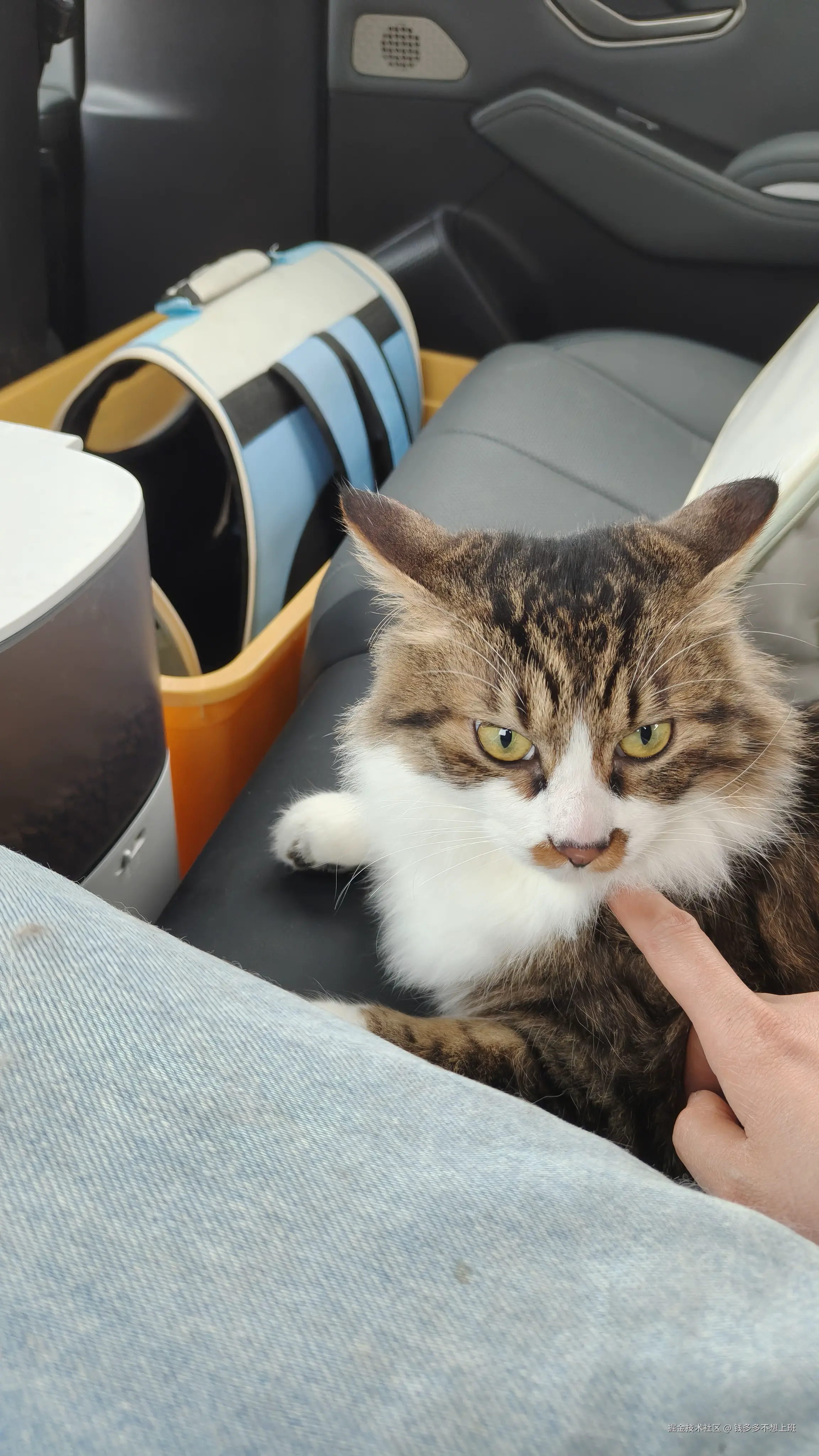 钱多多不想上班于2026-02-09 08:14发布的图片