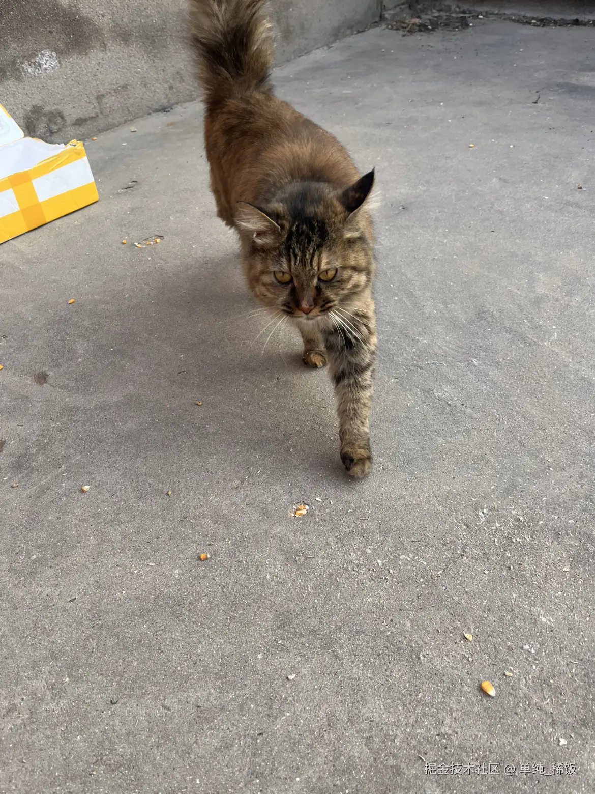 单纯_稀饭于2025-11-04 08:34发布的图片