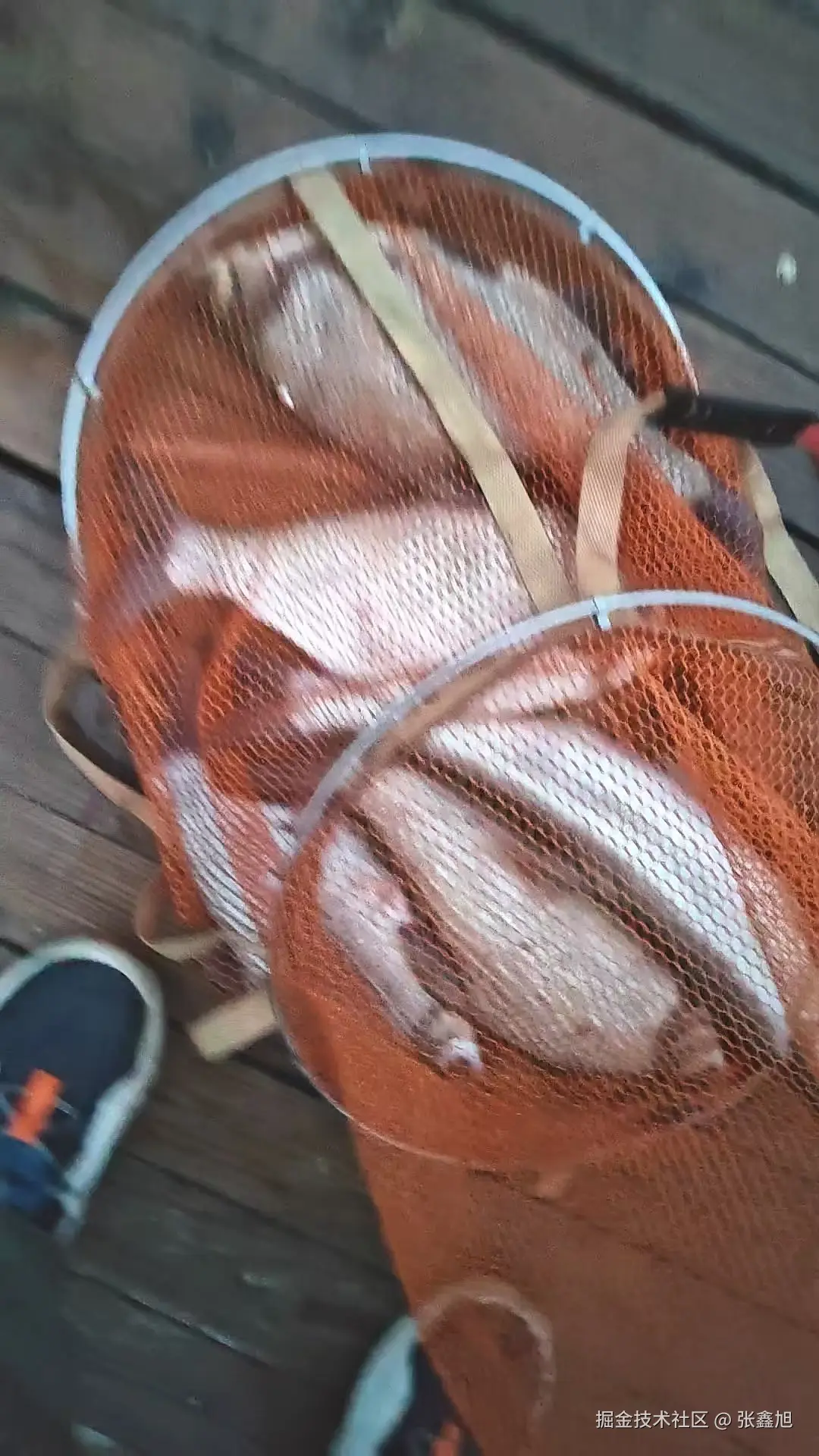 张鑫旭于2025-06-06 10:22发布的图片