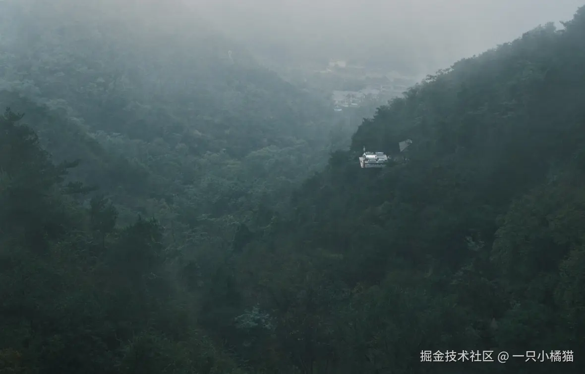 一只小橘猫于2025-10-17 12:00发布的图片