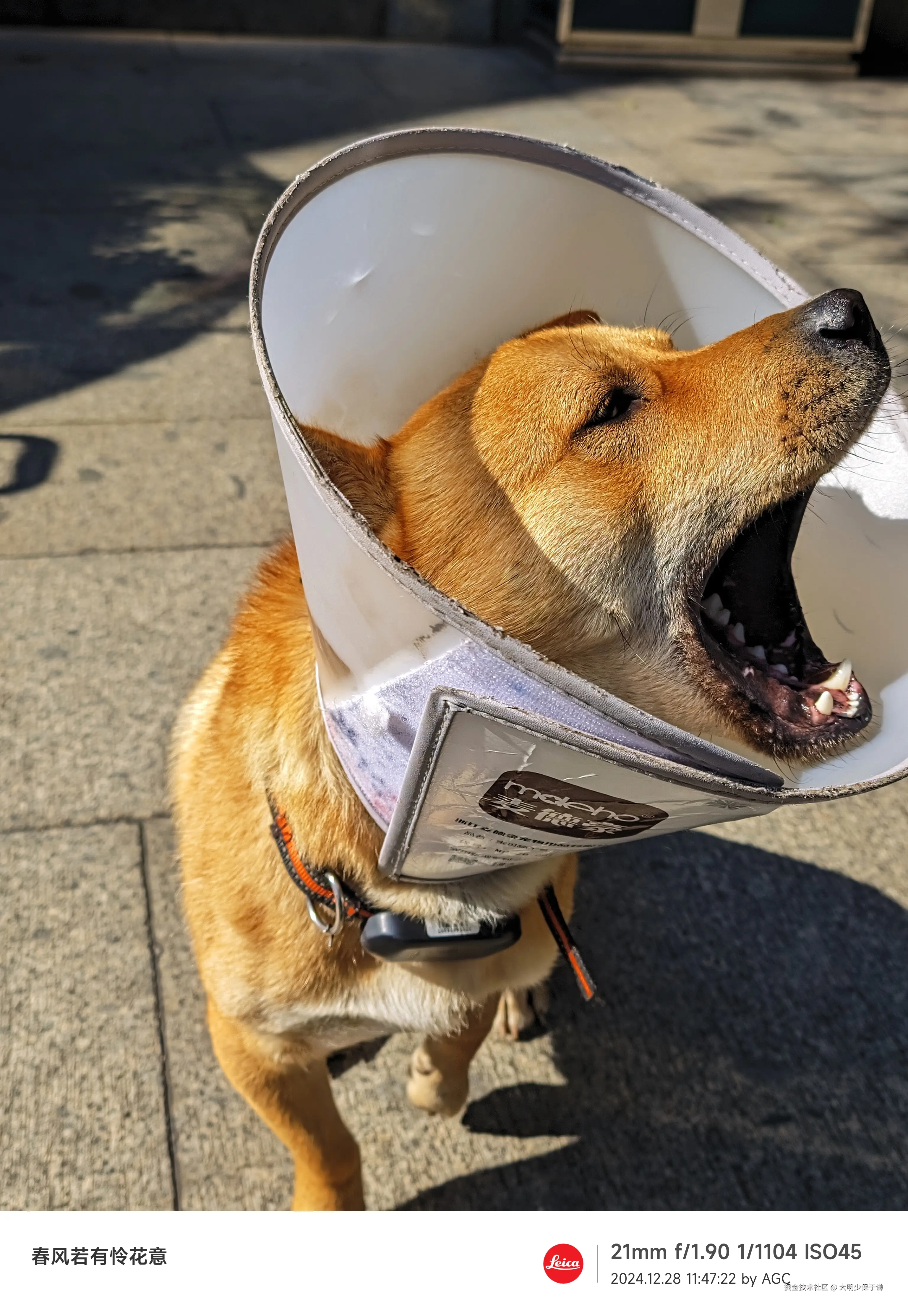 大明少保于谦于2025-04-02 10:15发布的图片