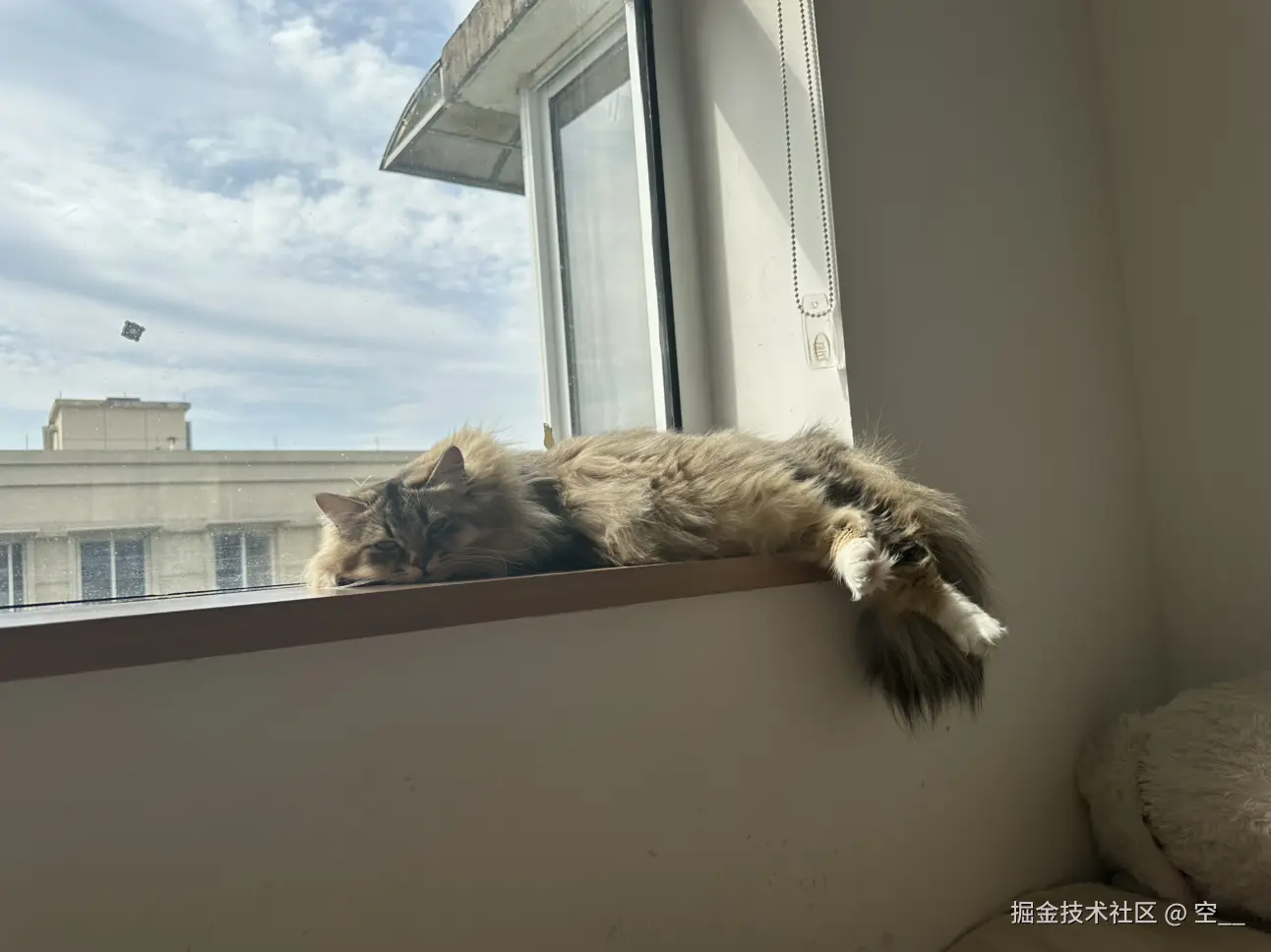 空__于2025-04-27 05:56发布的图片