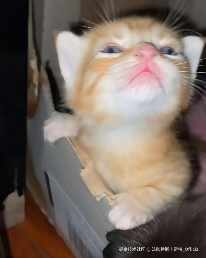 法欧特斯卡雷特_Official于2024-11-01 10:44发布的图片