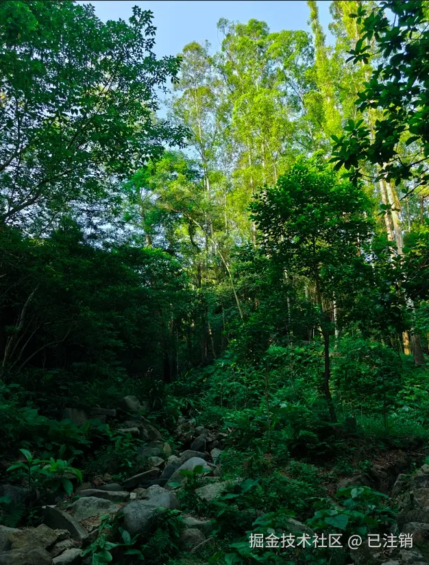 已注销于2024-08-05 15:35发布的图片