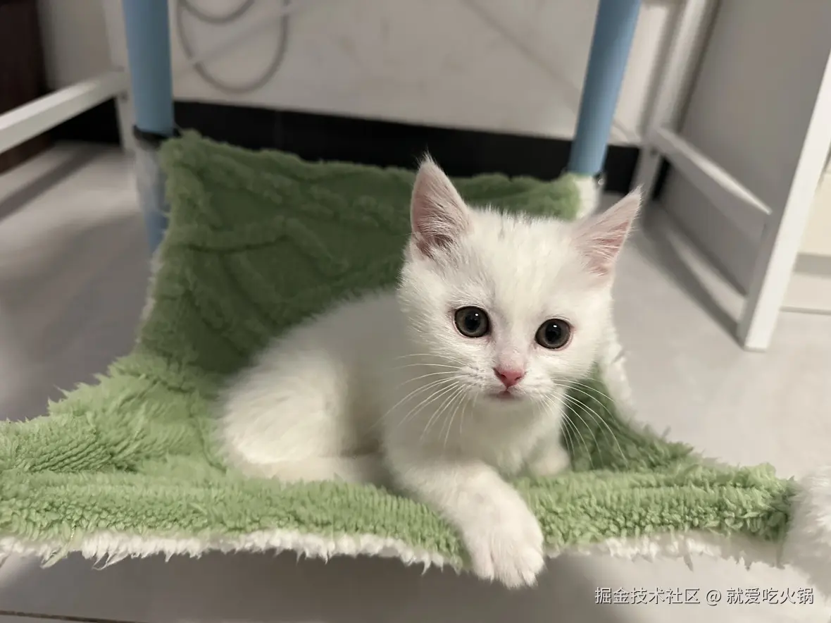 就爱吃火锅于2025-03-03 09:33发布的图片