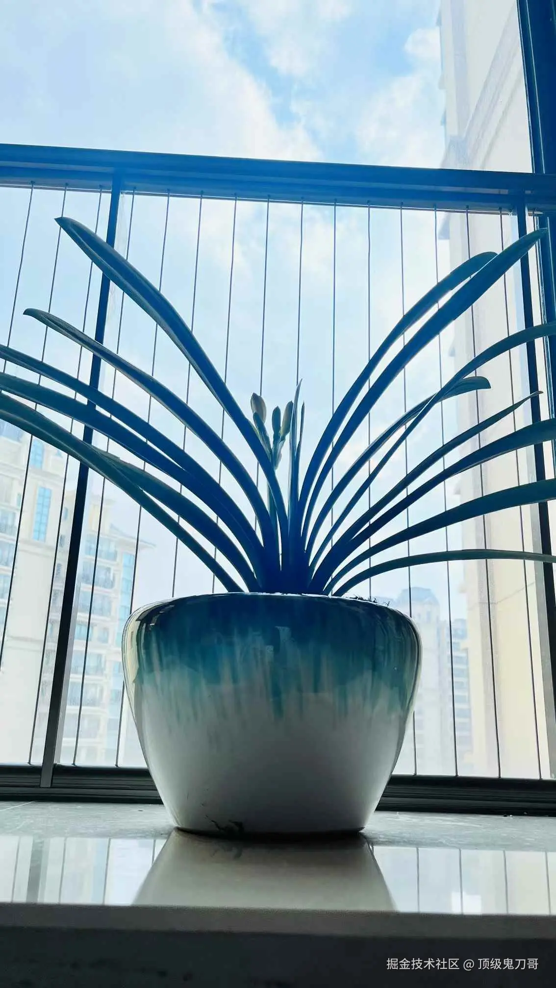 顶级鬼刀哥于2025-02-17 03:17发布的图片