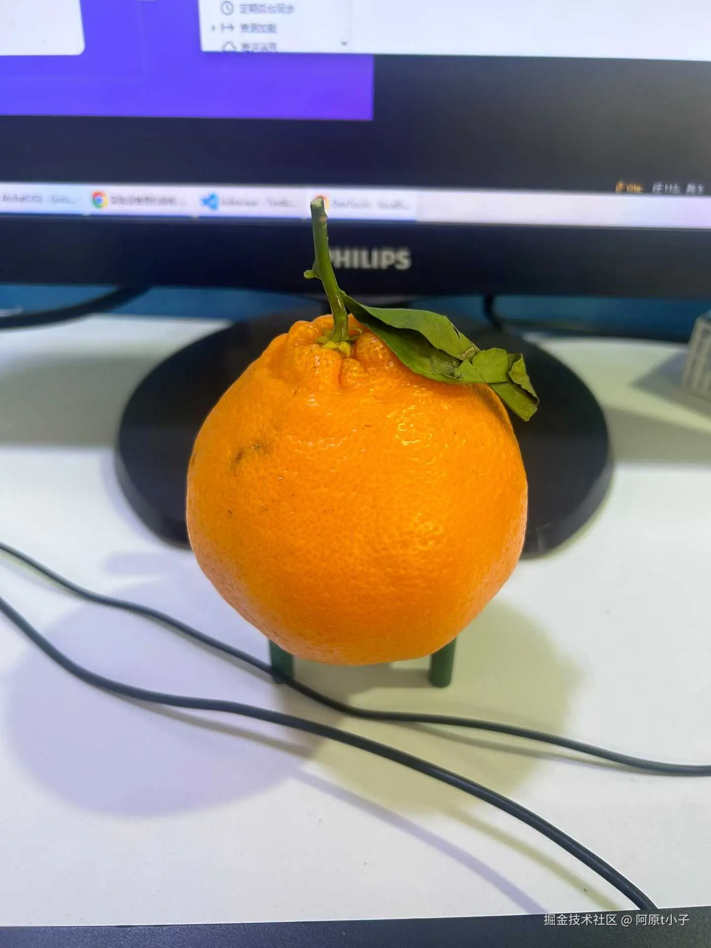 阿原t小子于2026-02-06 10:56发布的图片