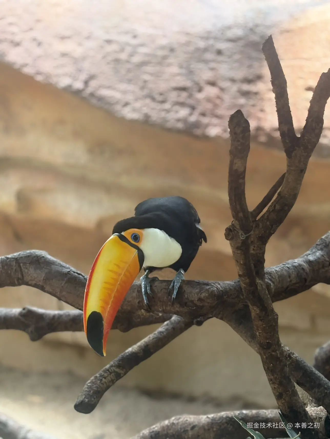 本善之初于2025-05-06 15:14发布的图片