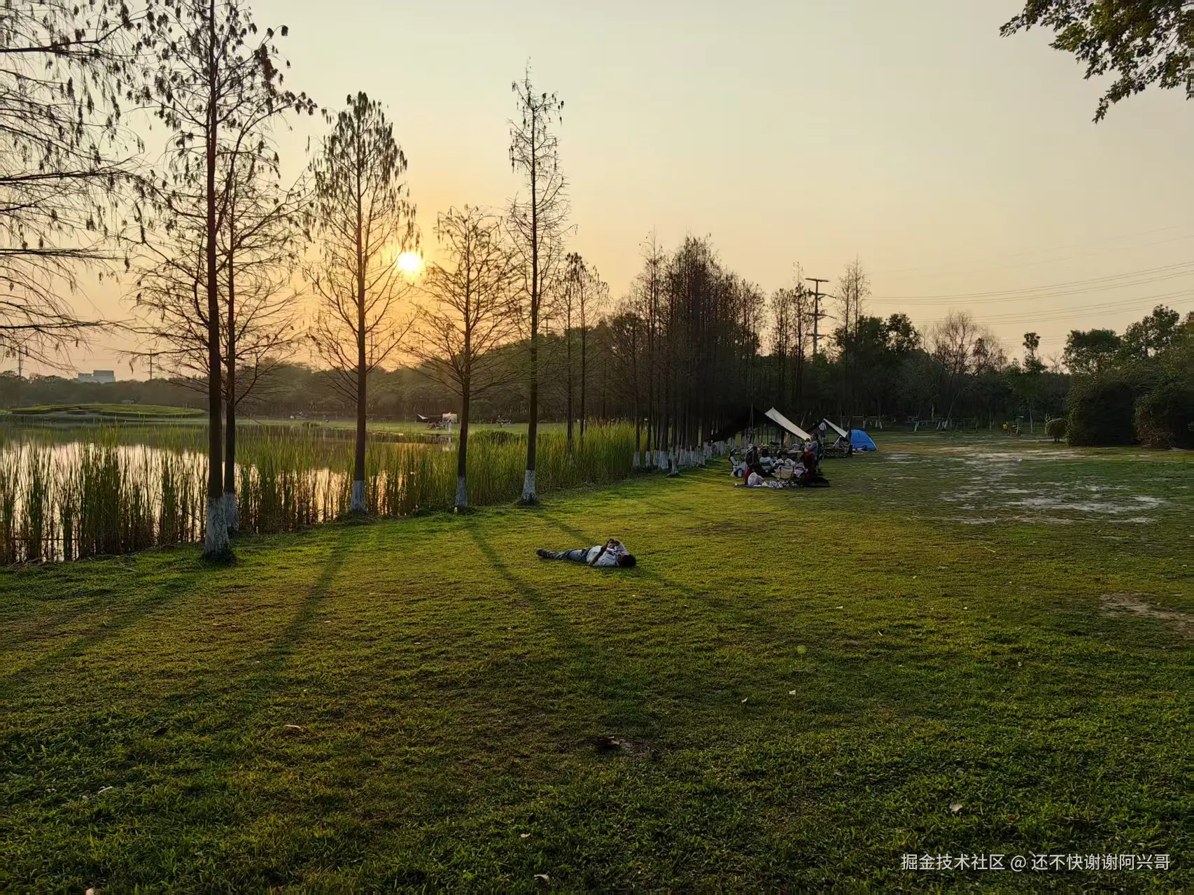 还不快谢谢阿兴哥于2025-04-07 11:14发布的图片