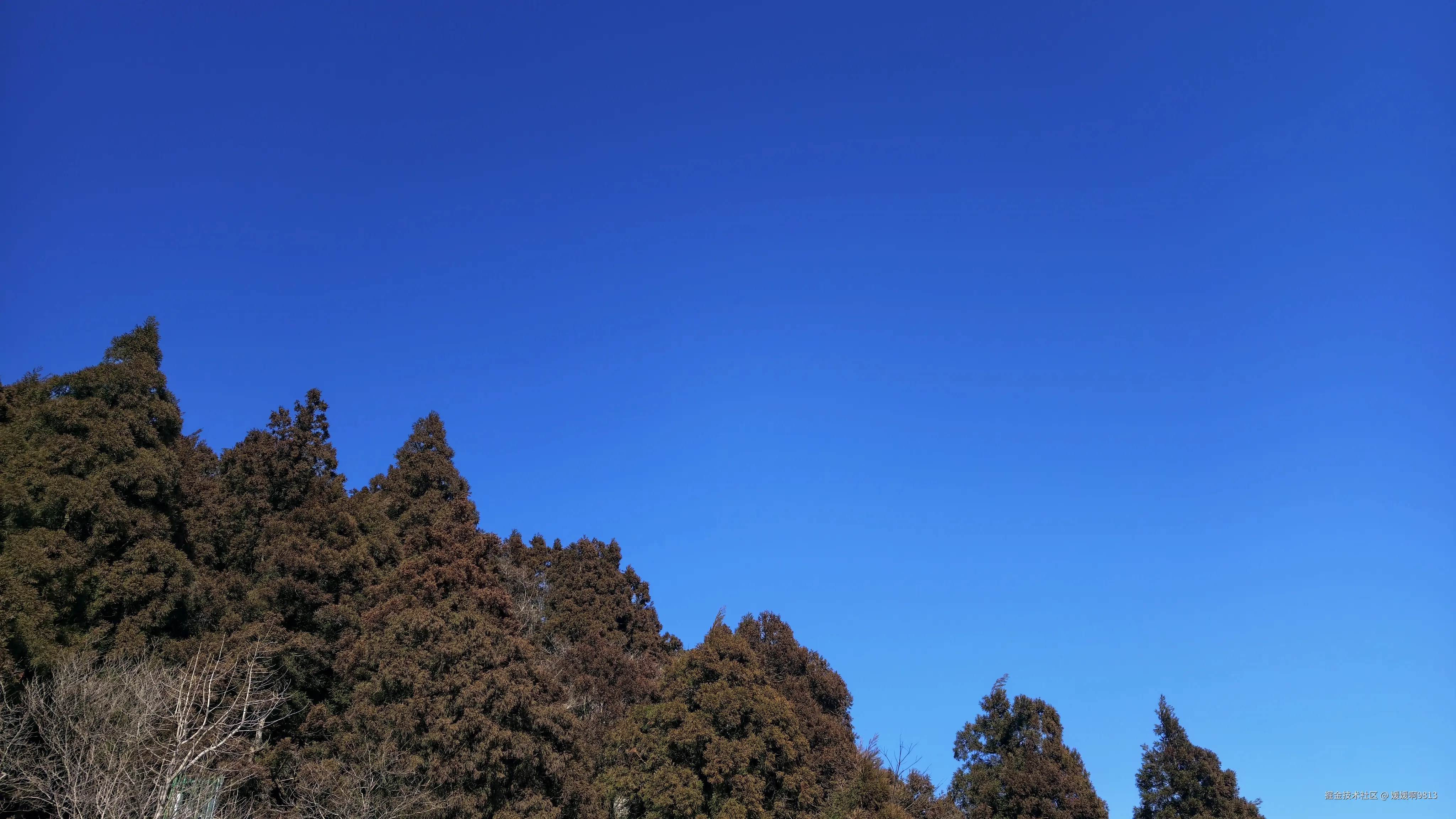 媛媛啊9813于2026-02-21 01:58发布的图片