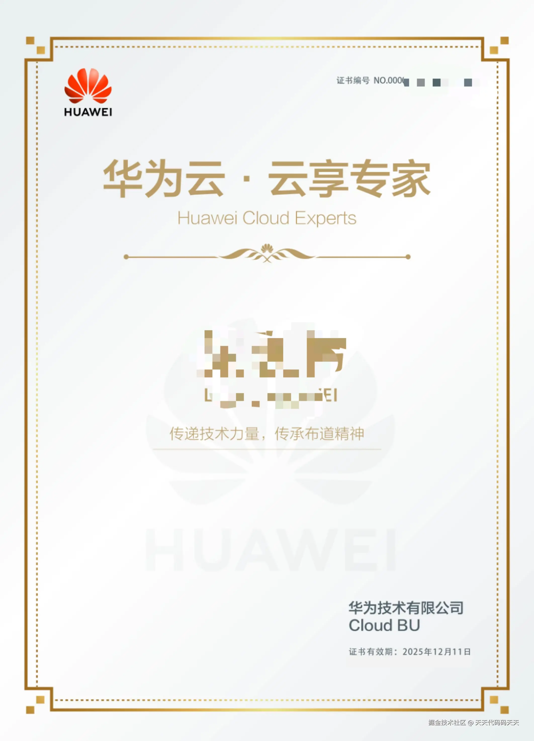 天天代码码天天于2024-12-12 10:54发布的图片