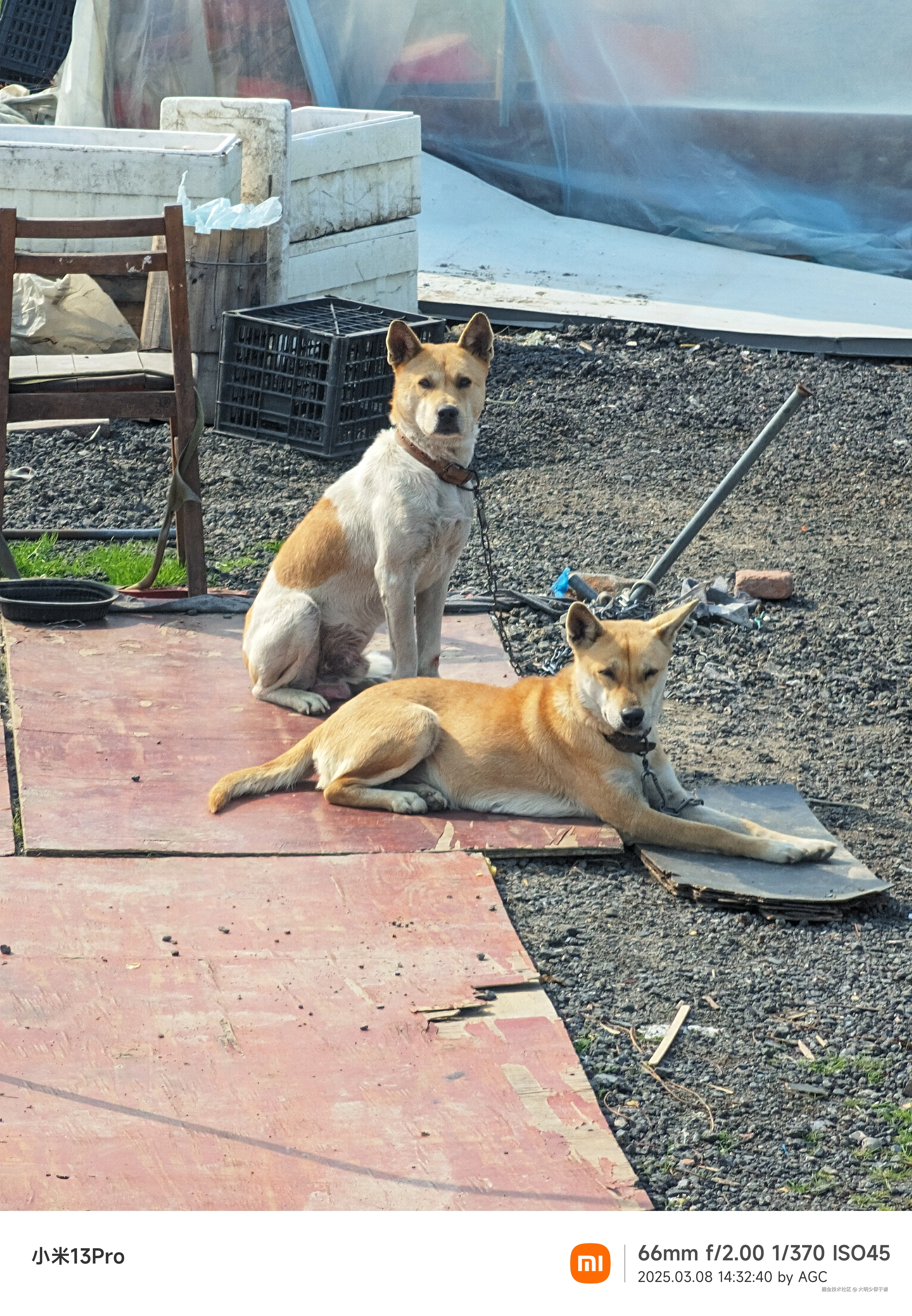 大明少保于谦于2025-03-10 15:40发布的图片