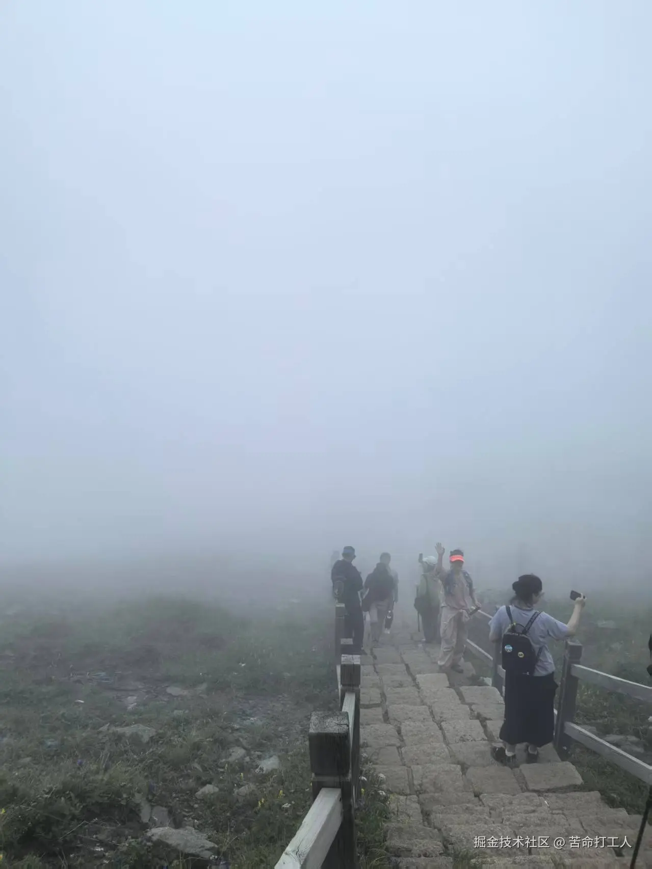 苦命打工人于2025-08-04 15:34发布的图片