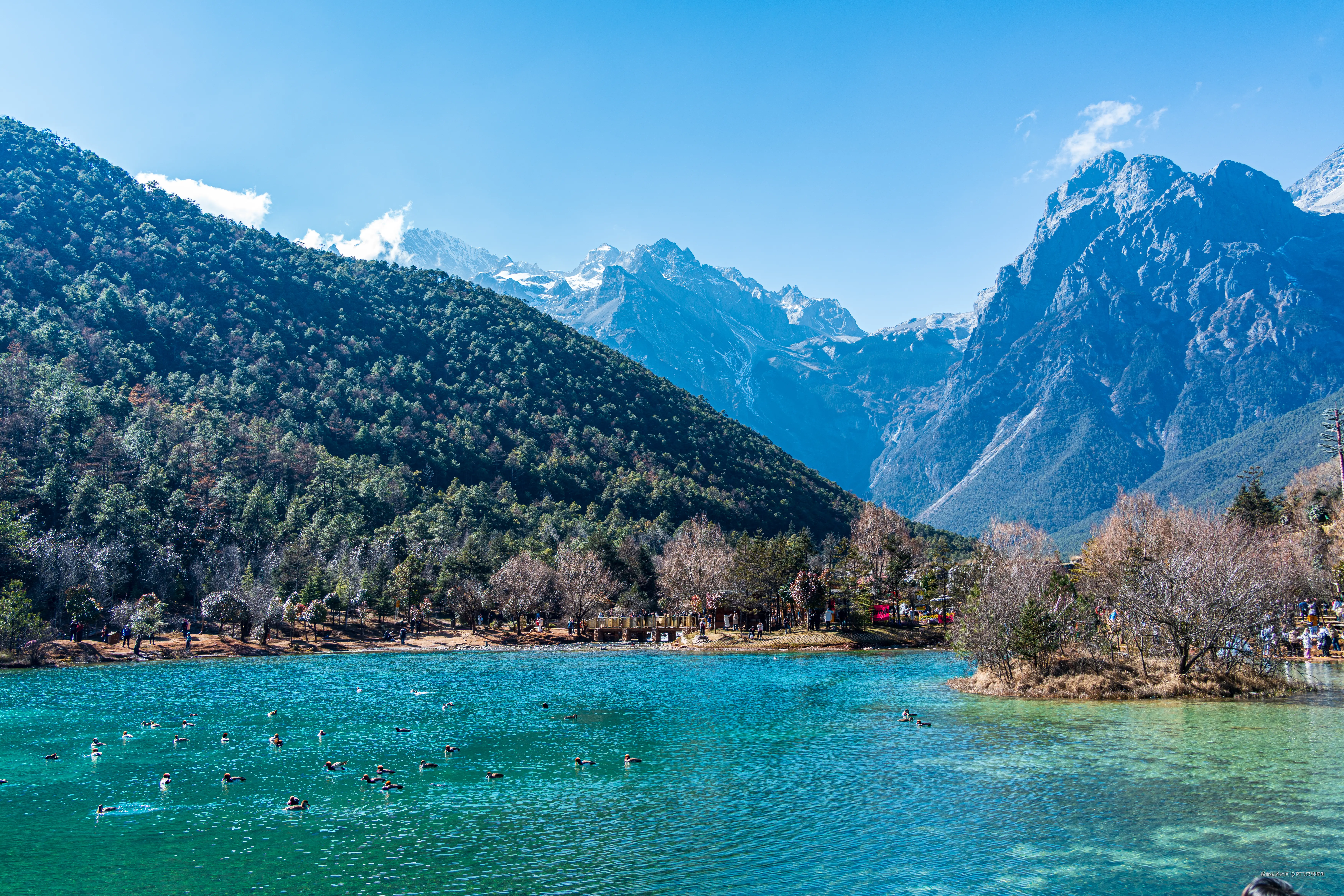 阿飞只想摸鱼于2026-02-11 14:55发布的图片