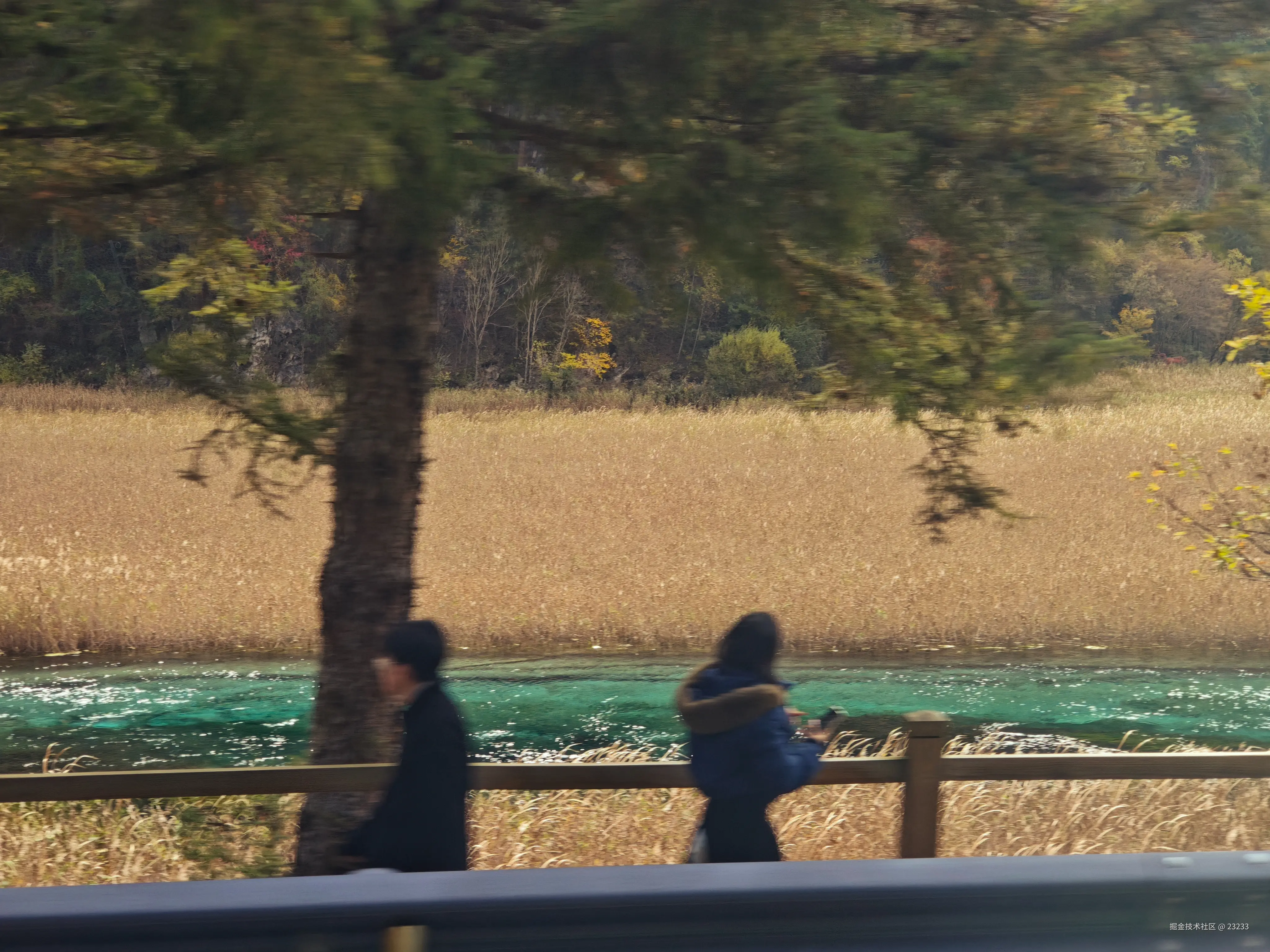 23233于2025-11-06 15:52发布的图片