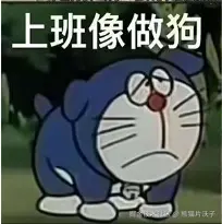 熊猫片沃子于2024-07-29 10:46发布的图片