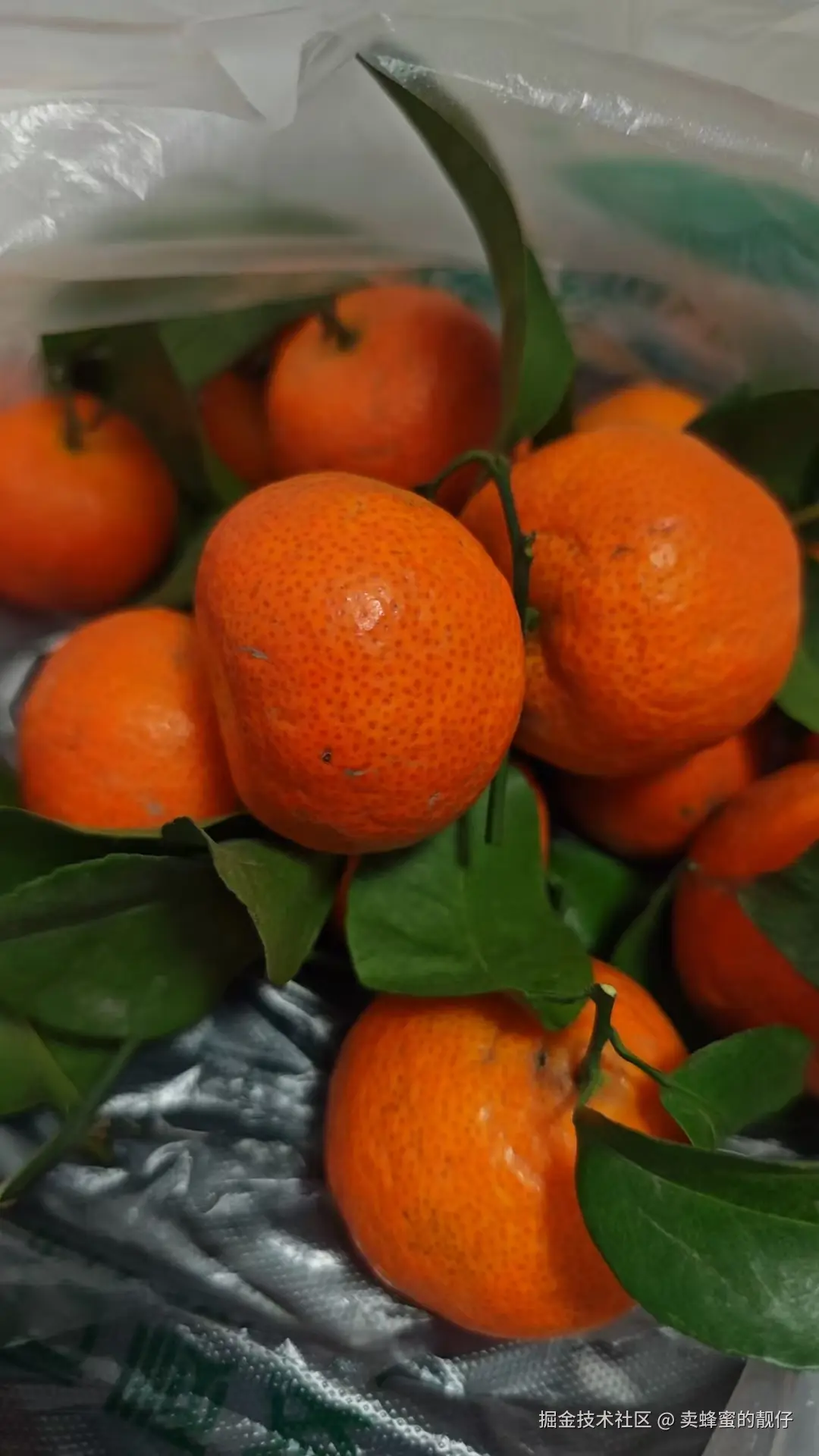 卖蜂蜜的靓仔于2026-01-13 13:16发布的图片