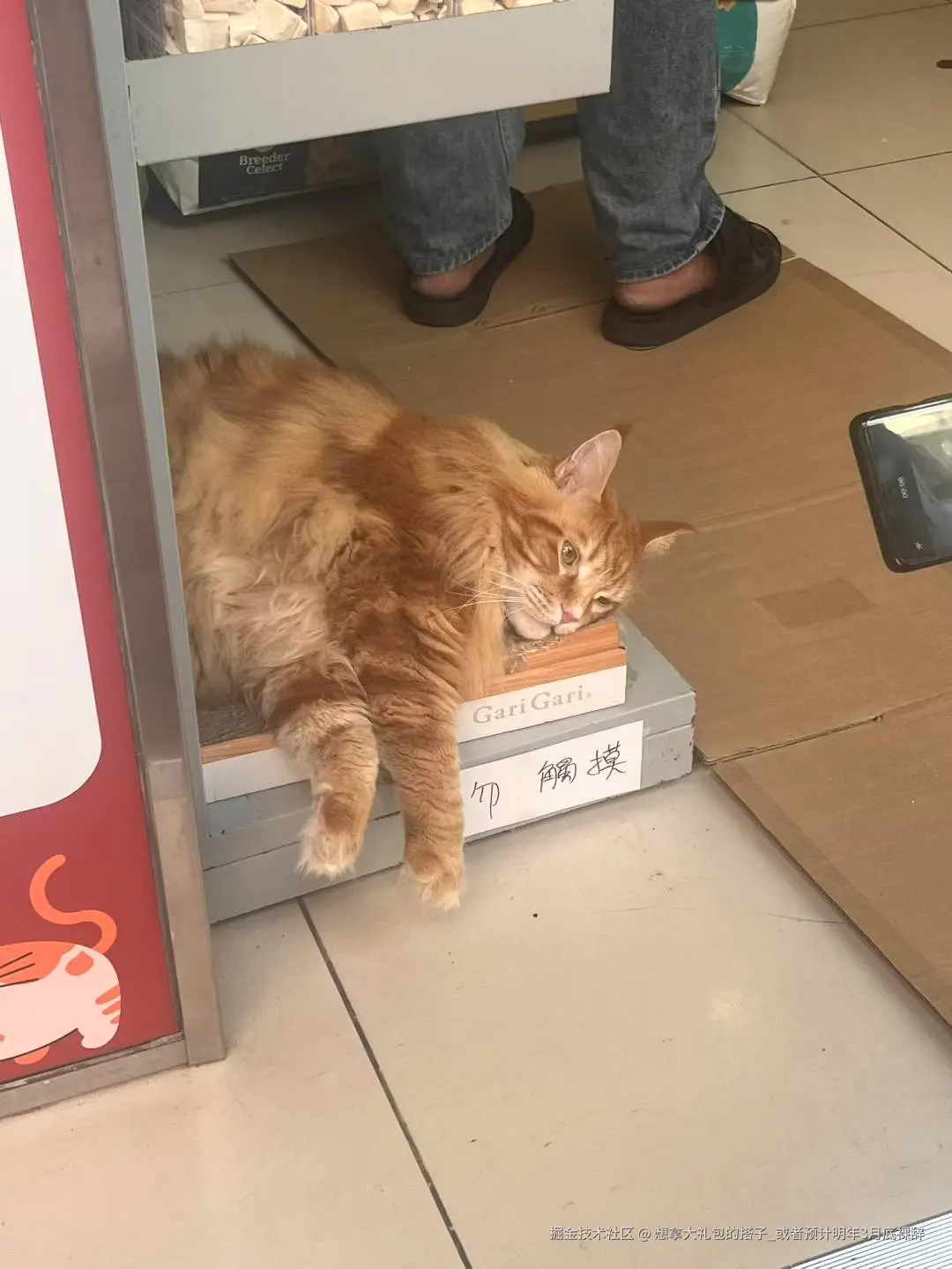 想拿大礼包的搭子_或者预计明年3月底裸辞于2025-06-23 09:28发布的图片