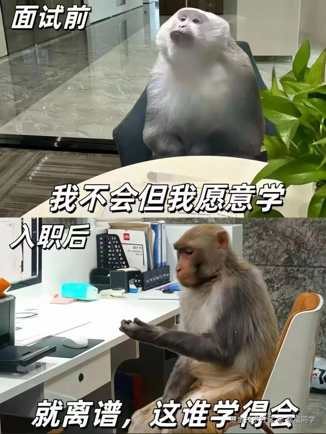 卷福同学于2025-09-29 11:49发布的图片