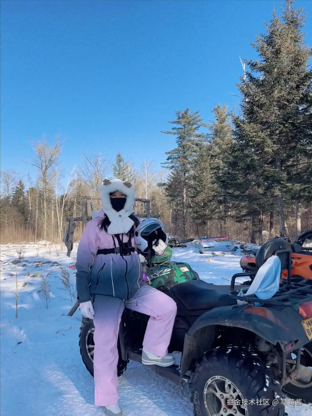 草莓酱于2024-12-23 09:12发布的图片