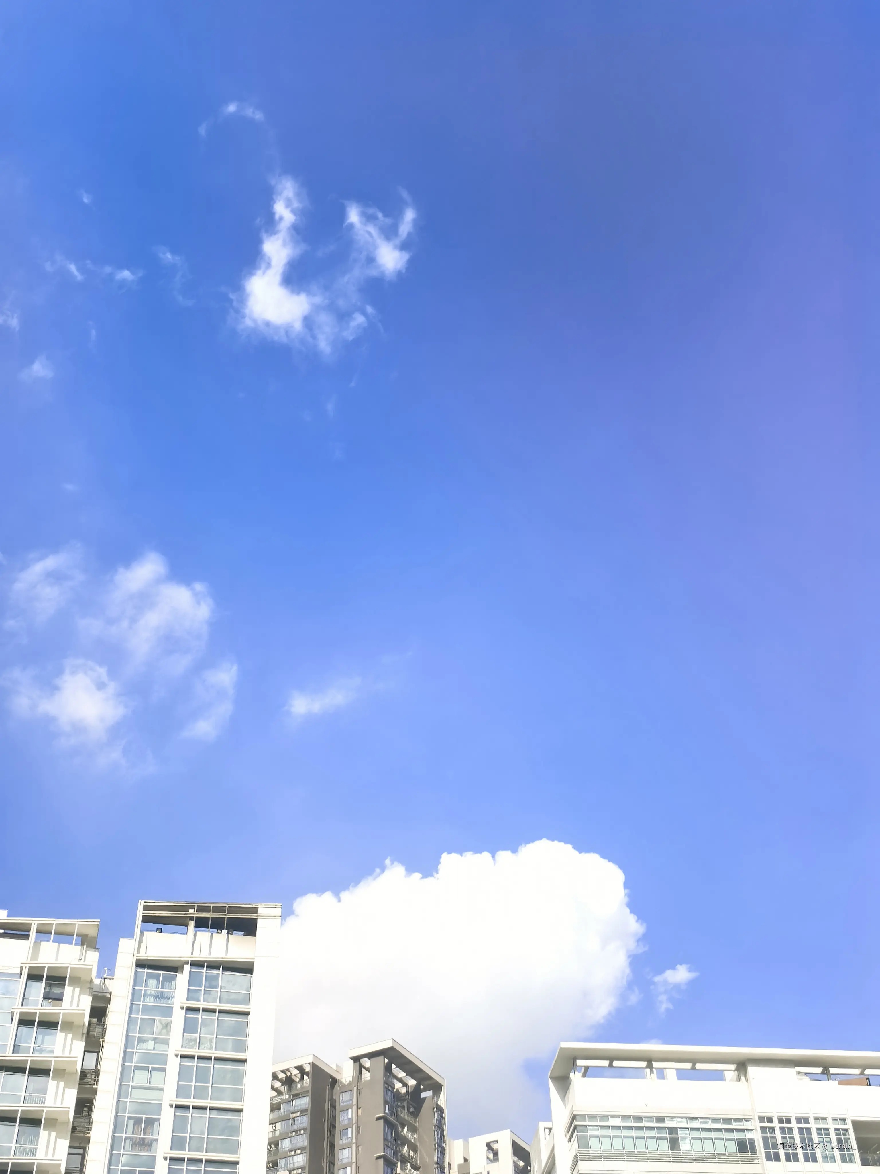 Serein_于2025-10-02 23:43发布的图片