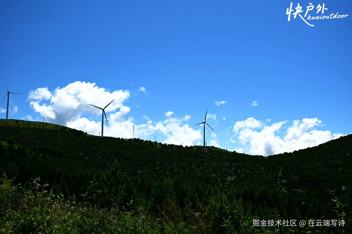 在云端写诗于2025-08-11 06:34发布的图片