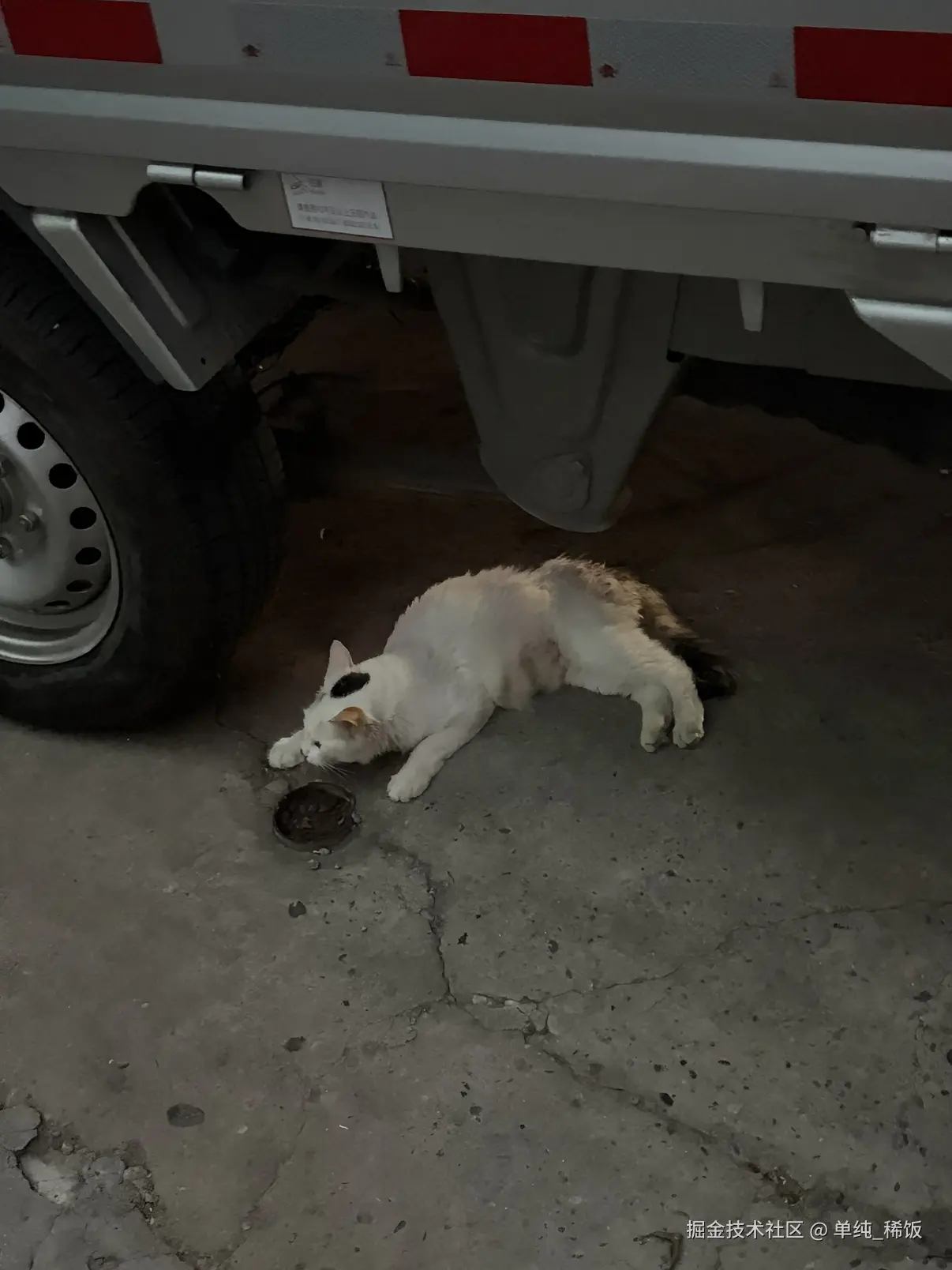 单纯_稀饭于2026-08-17 00:06发布的图片