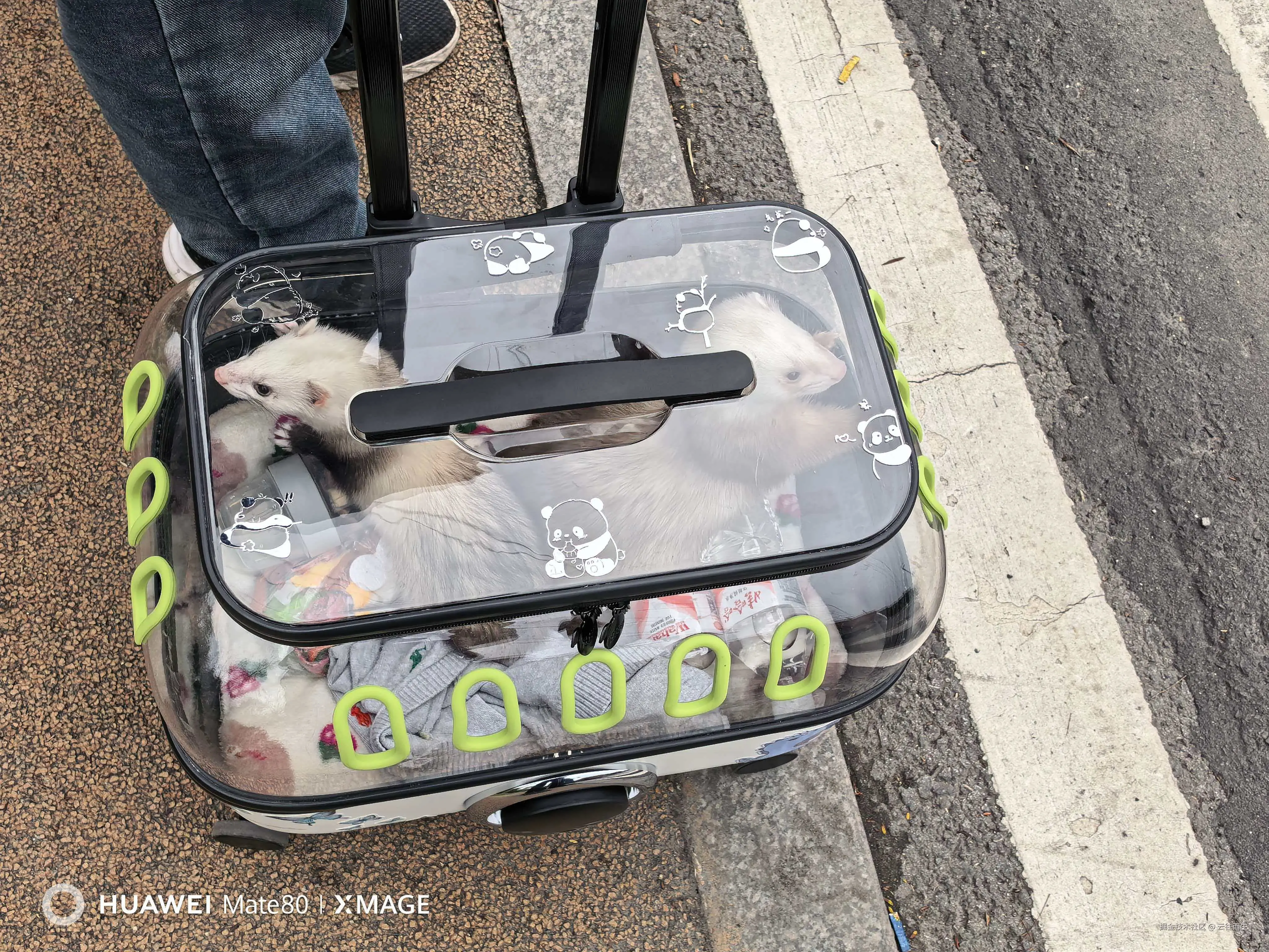 云往而生于2026-03-09 15:29发布的图片