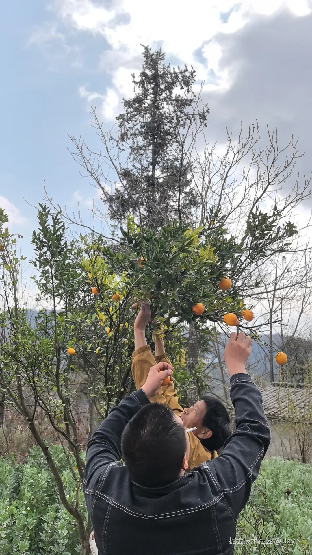 Jay丶于2026-02-24 11:34发布的图片