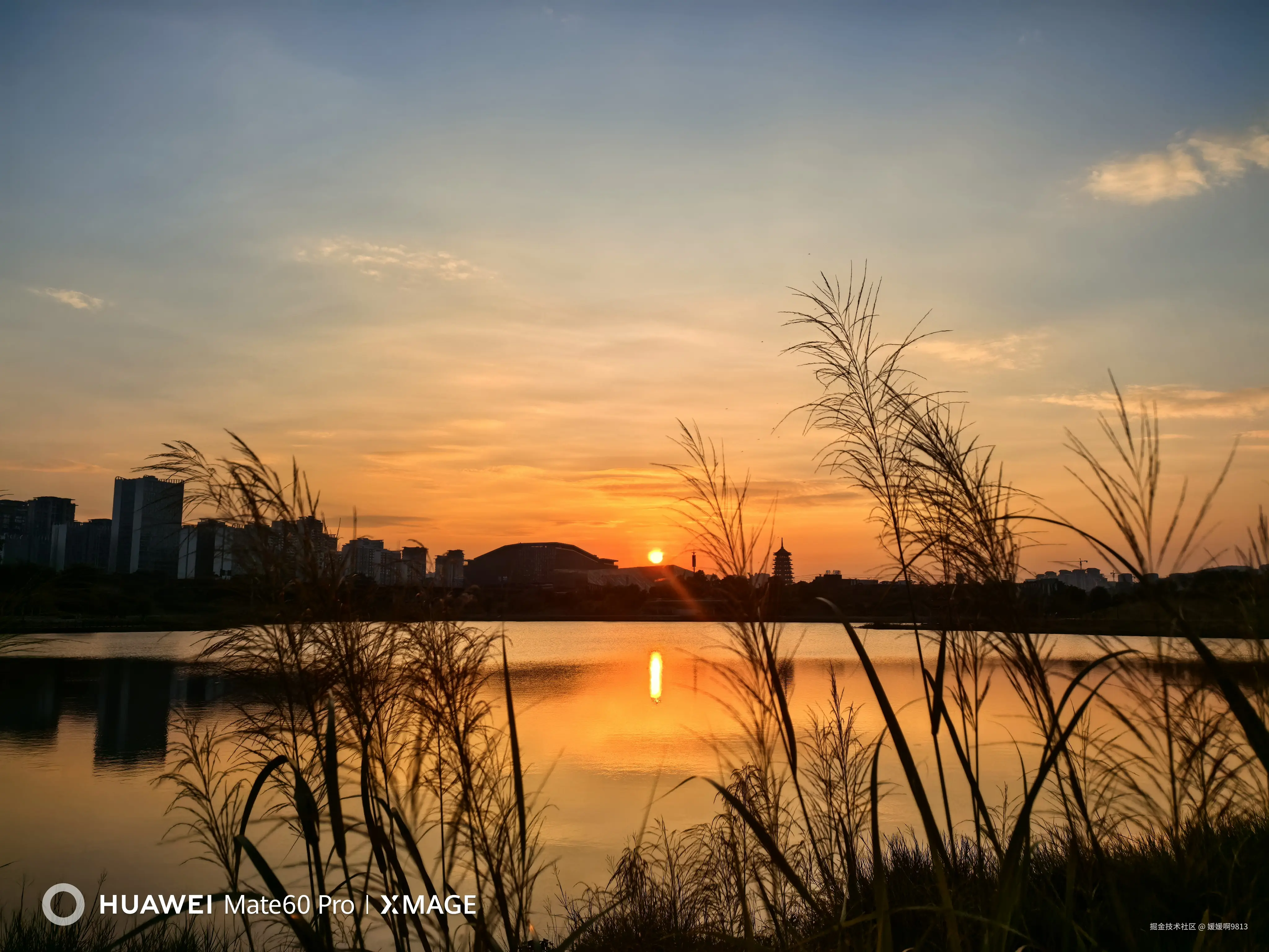 媛媛啊9813于2024-11-04 07:14发布的图片