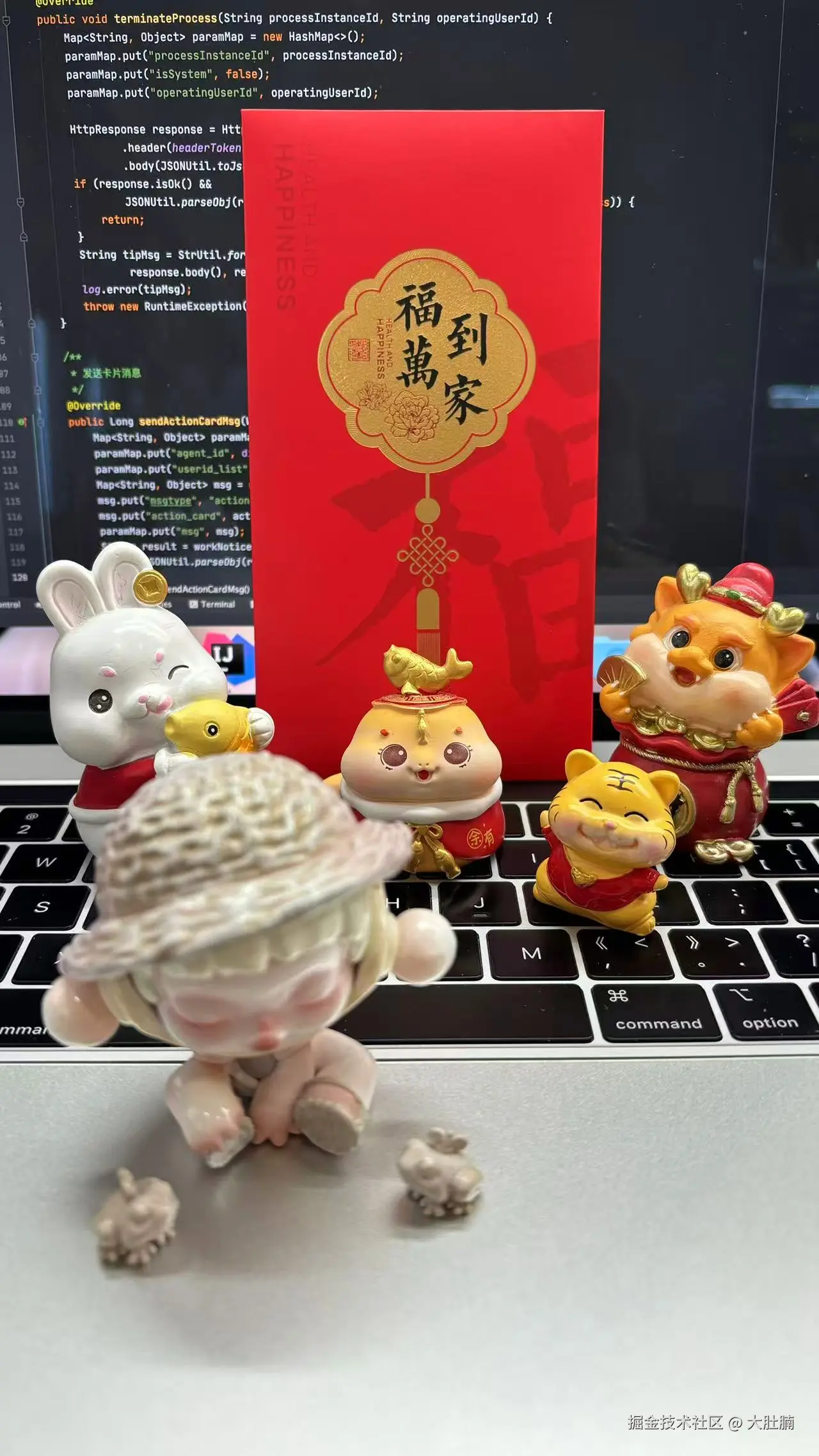 大肚腩于2026-02-26 12:58发布的图片