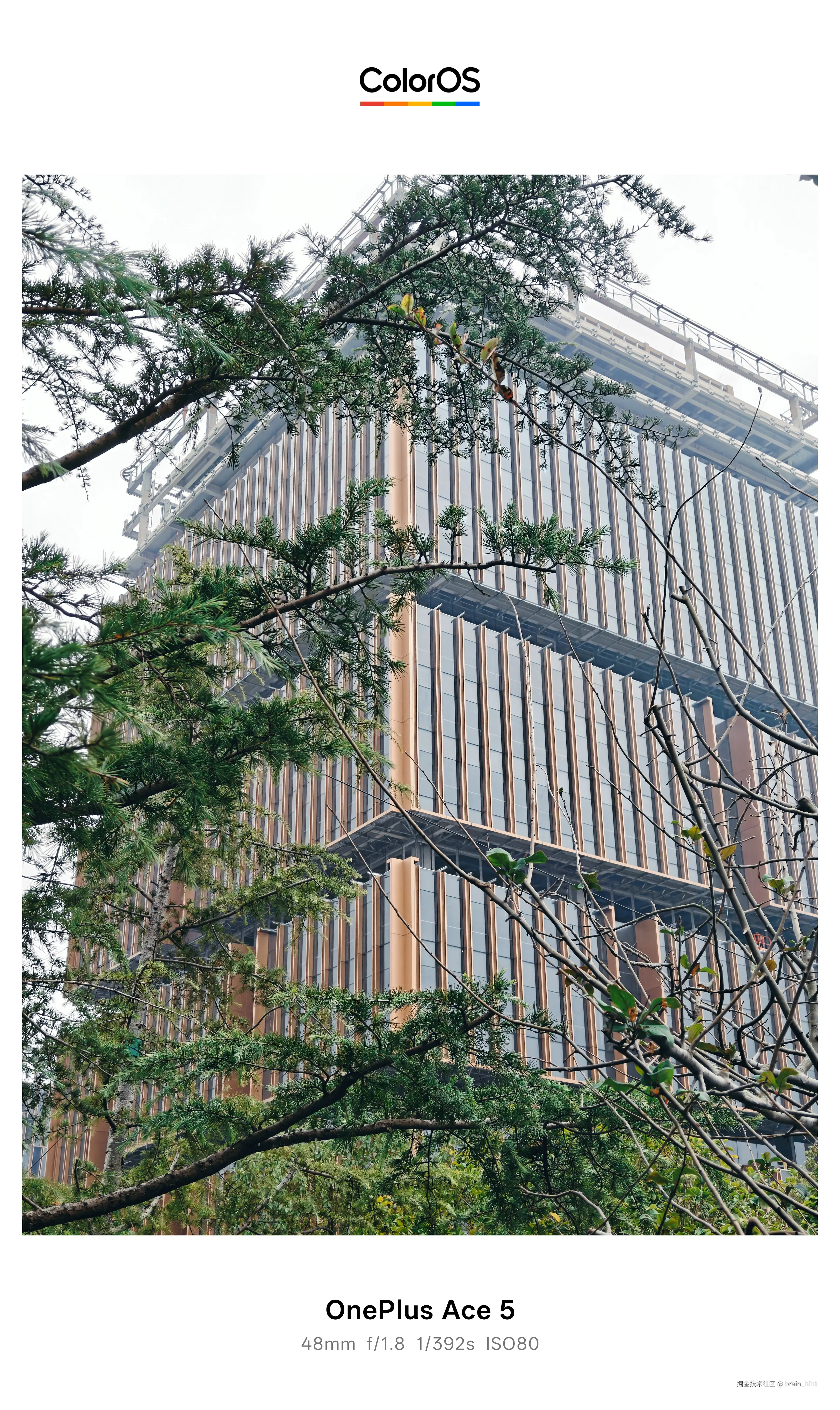 brain_hint于2025-12-24 04:38发布的图片