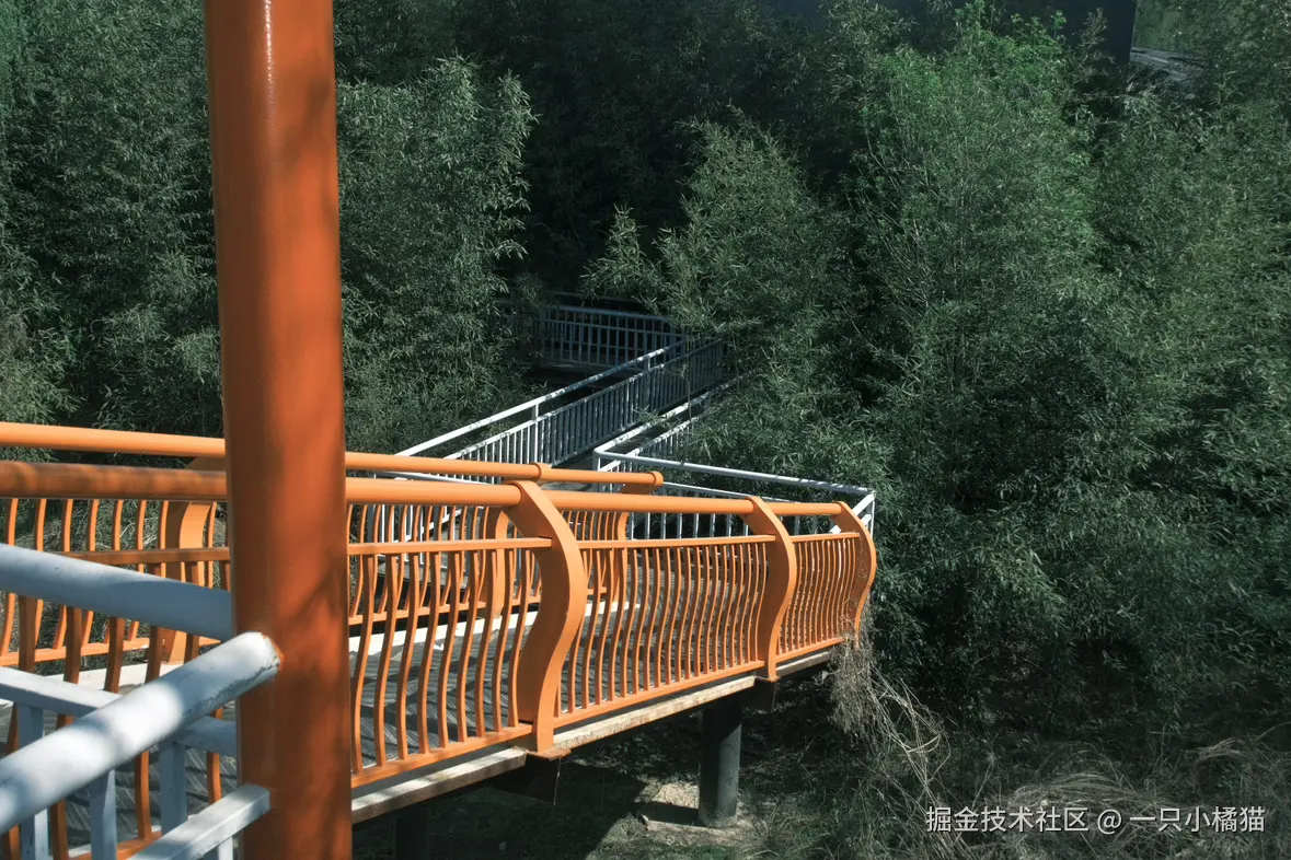 一只小橘猫于2026-04-10 13:57发布的图片