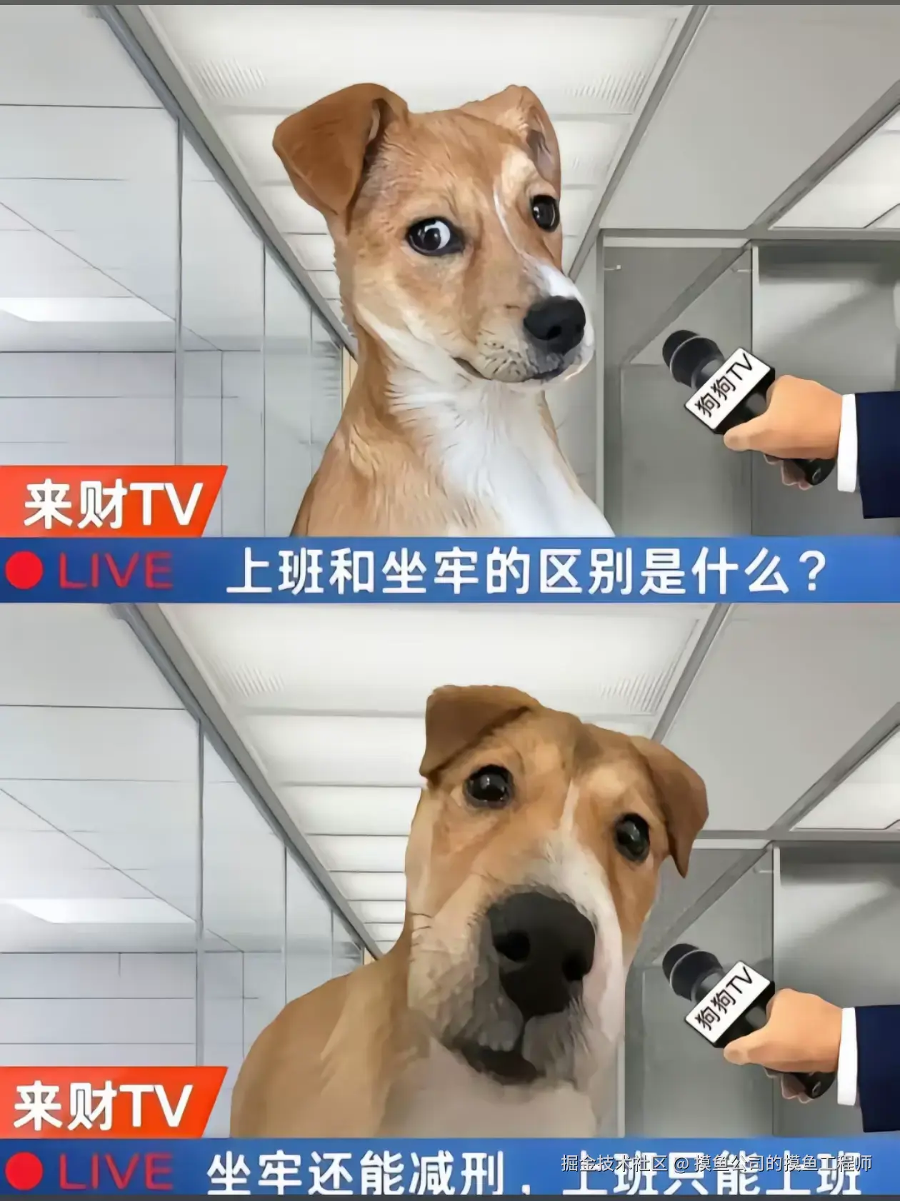 摸鱼公司的摸鱼工程师于2026-03-04 07:20发布的图片