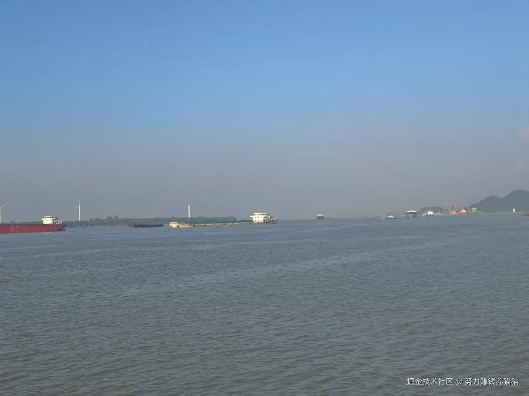 努力赚钱养猫猫于2025-10-23 11:17发布的图片