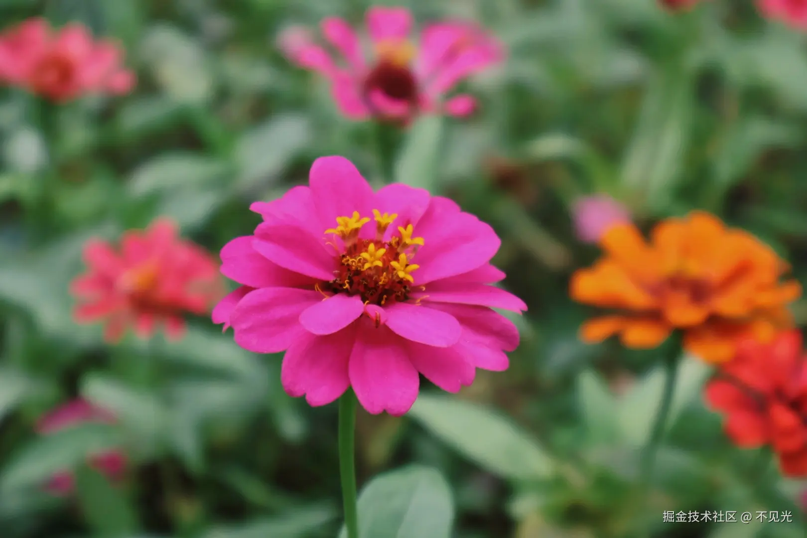 不见光于2025-11-03 17:08发布的图片