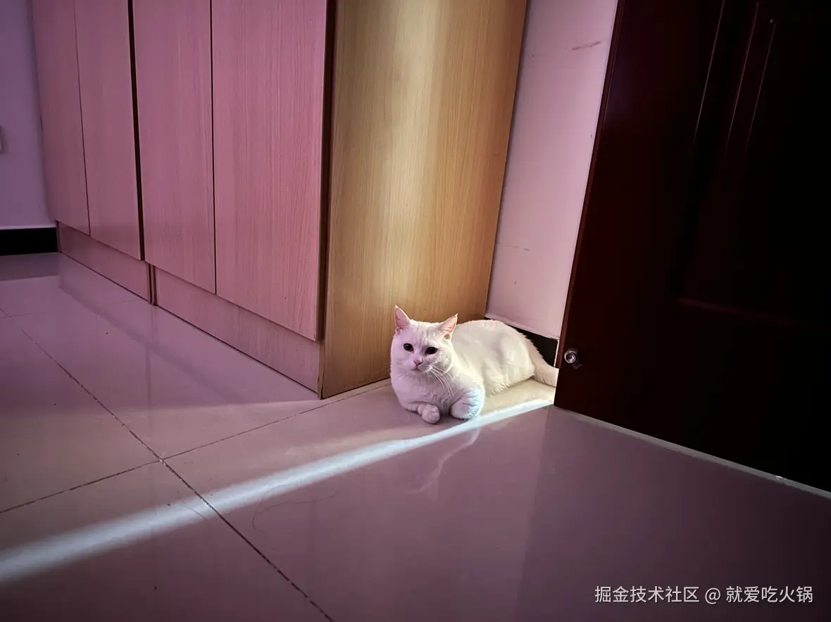 就爱吃火锅于2025-11-24 09:30发布的图片