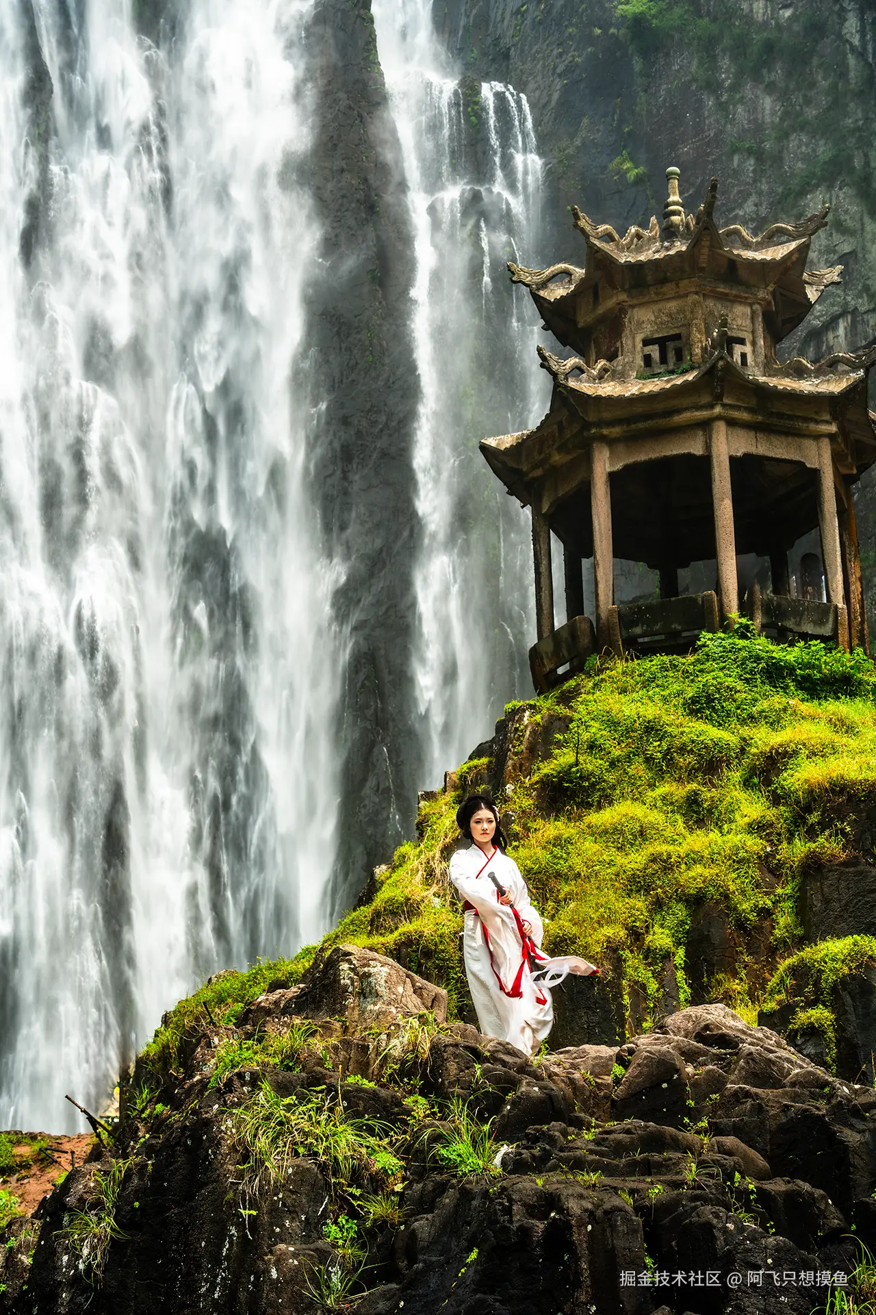 阿飞只想摸鱼于2025-07-16 10:45发布的图片