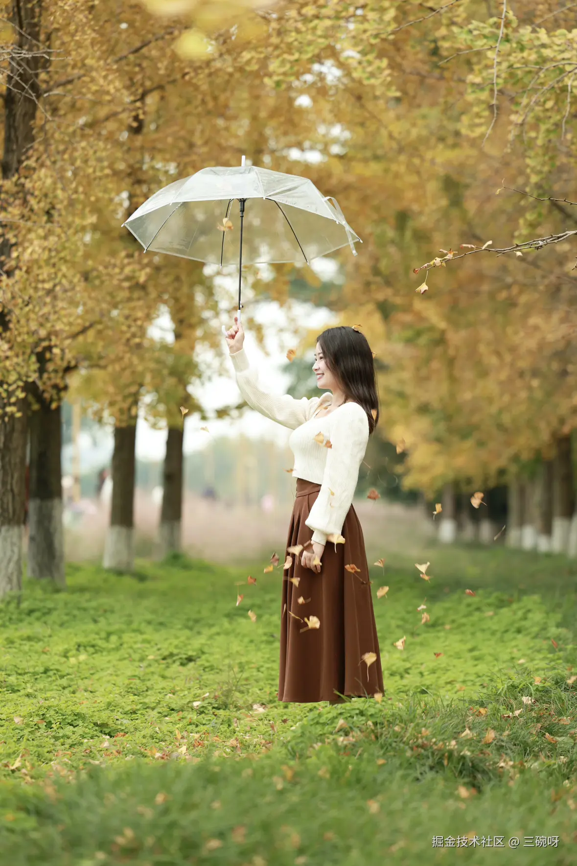 三碗呀于2024-11-25 03:11发布的图片