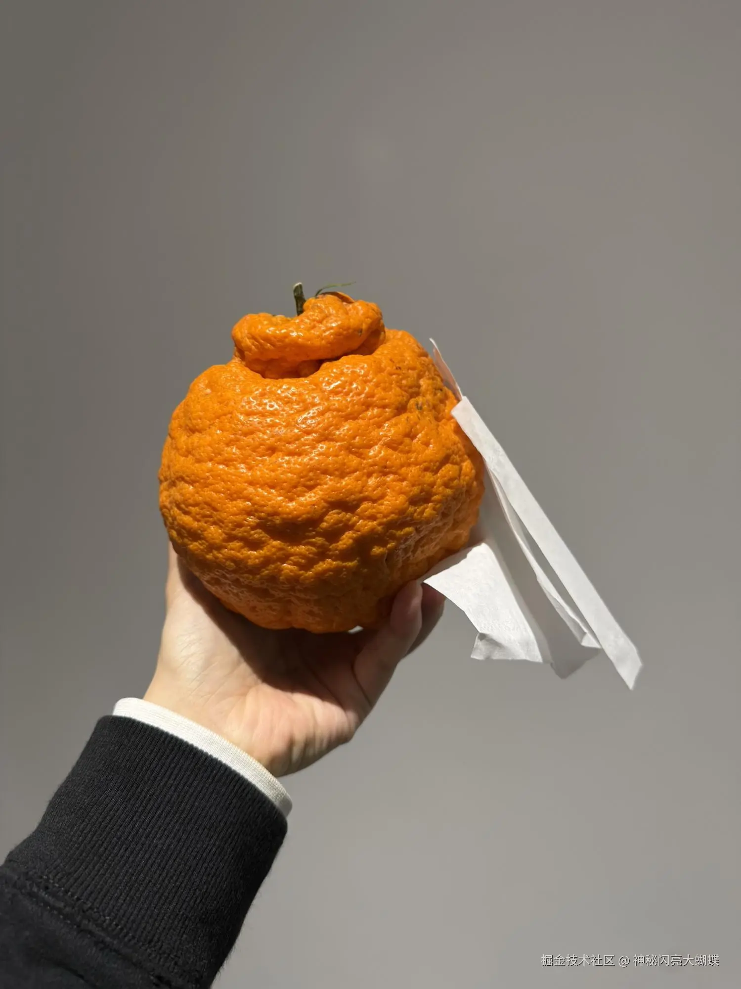 神秘闪亮大蝴蝶于2026-03-13 12:54发布的图片