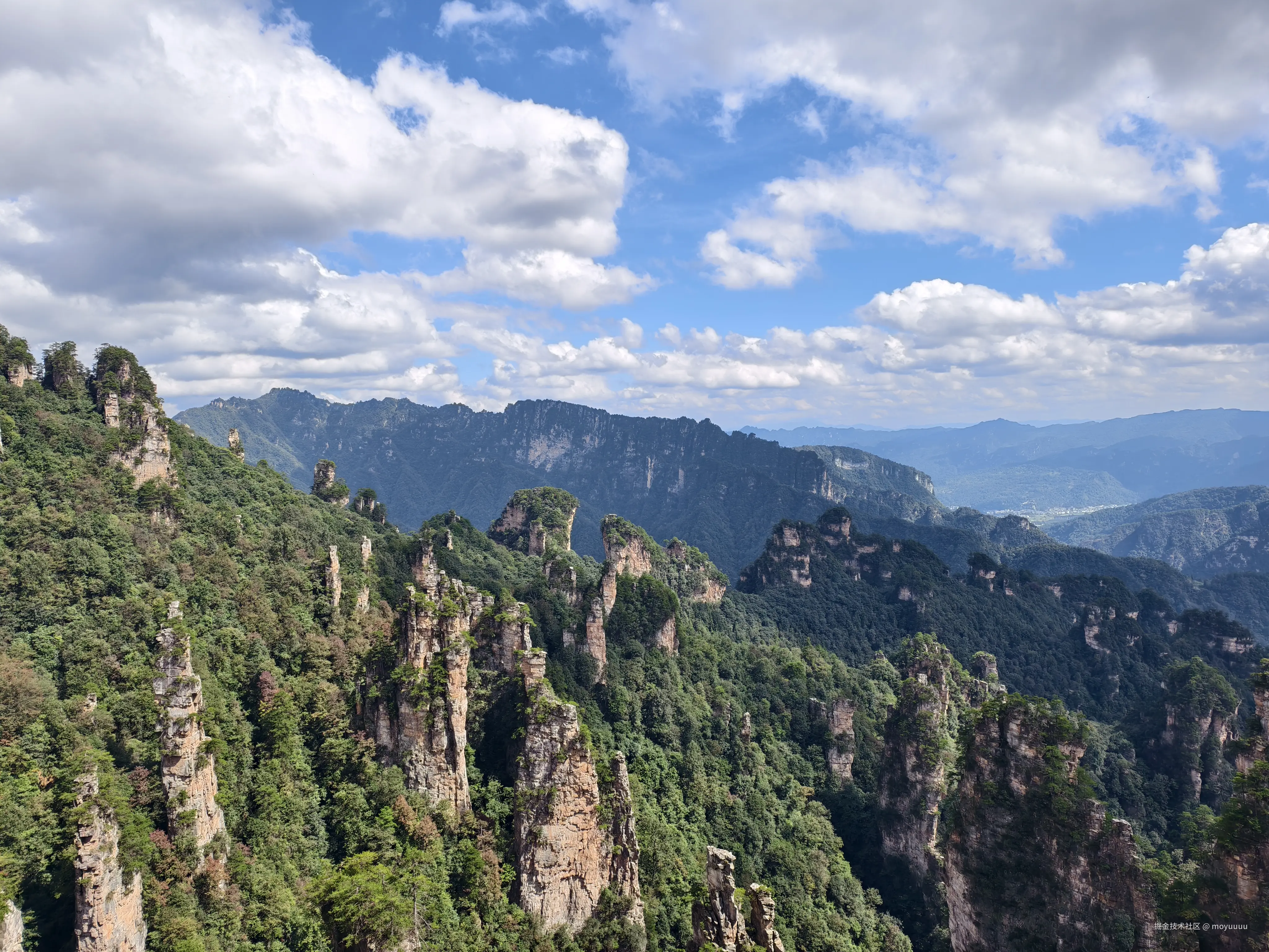 moyuuuu于2025-10-09 10:09发布的图片