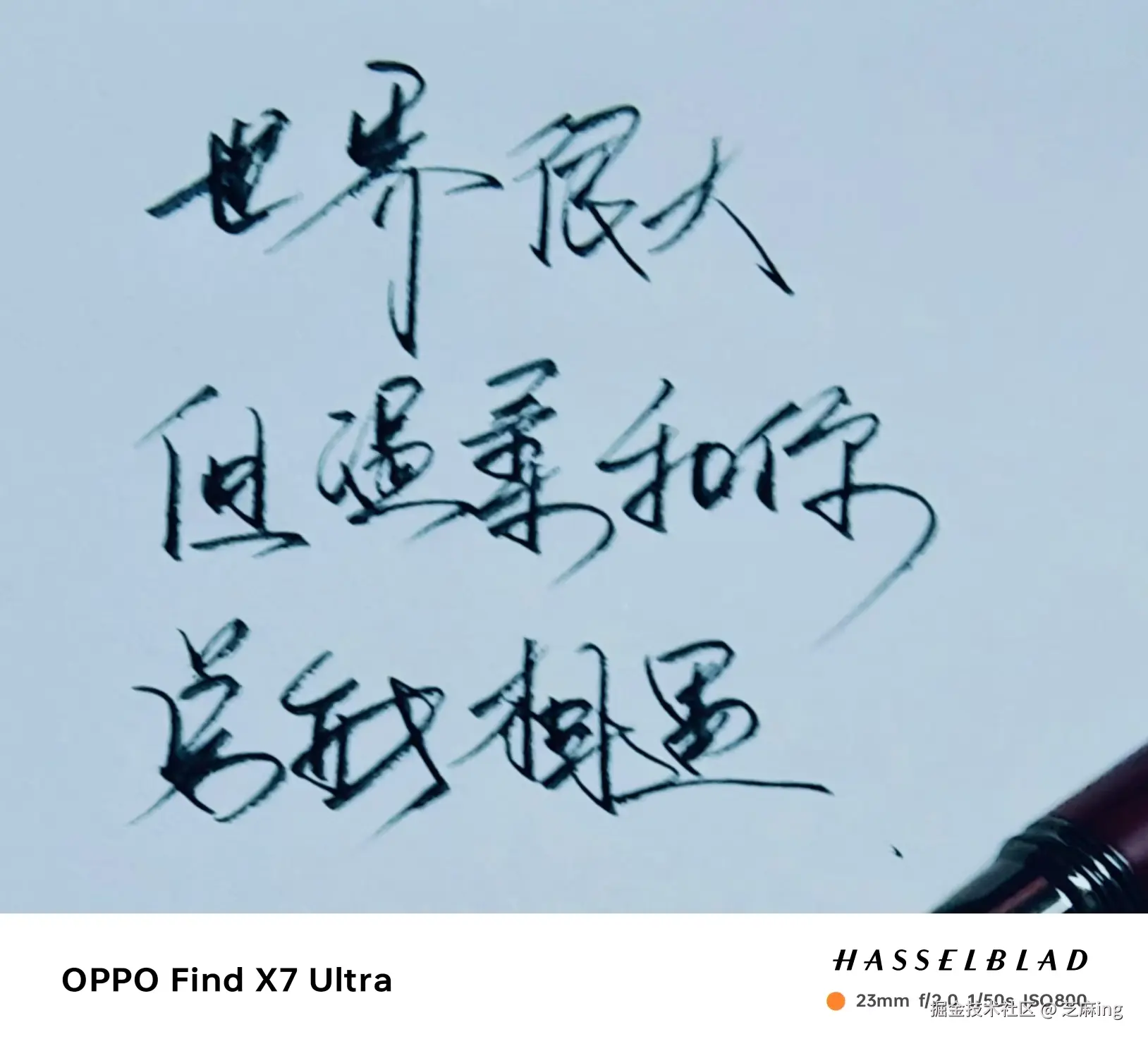 芝麻ing于2024-08-24 09:07发布的图片