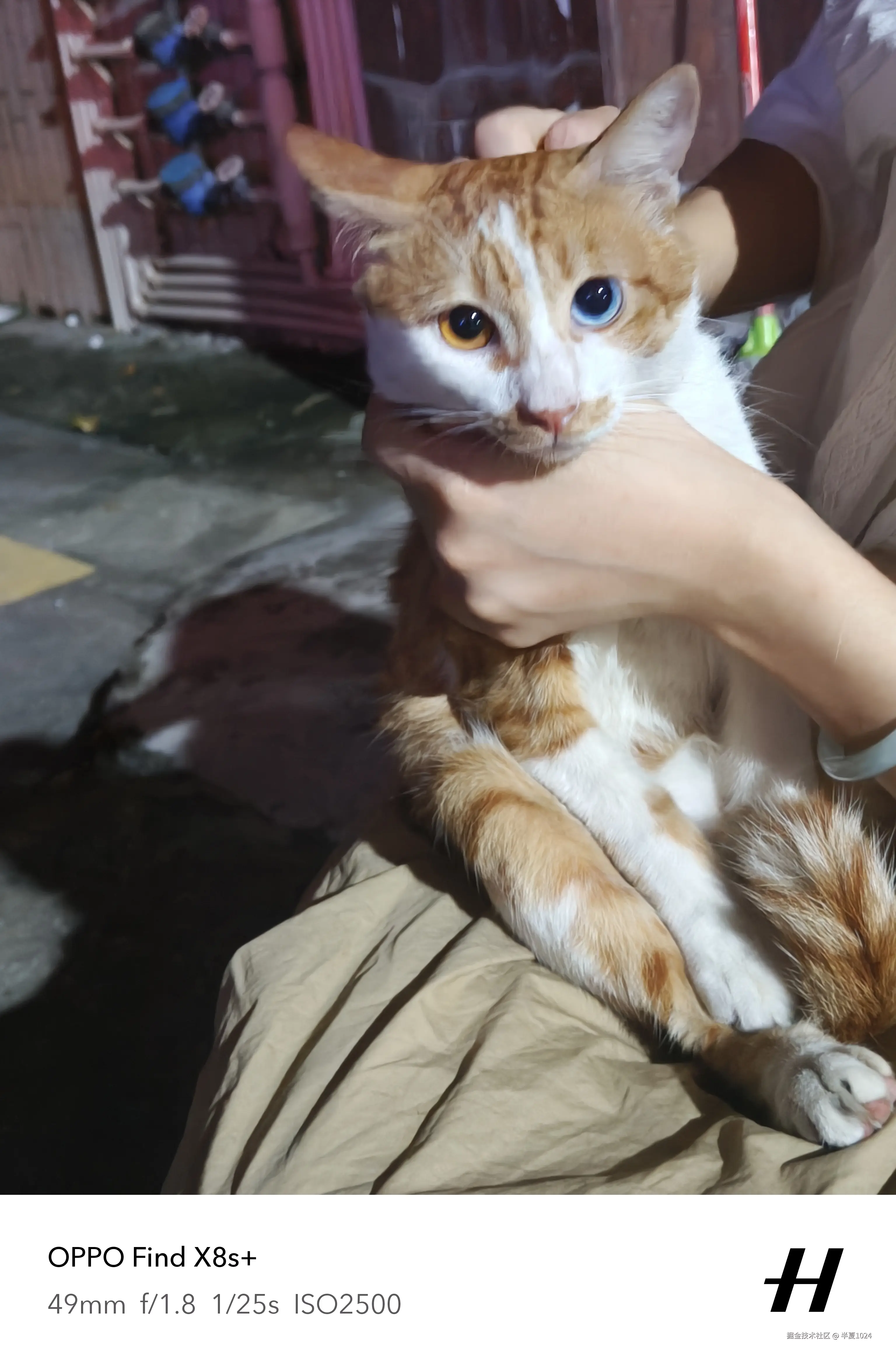 半夏1024于2025-07-07 14:25发布的图片