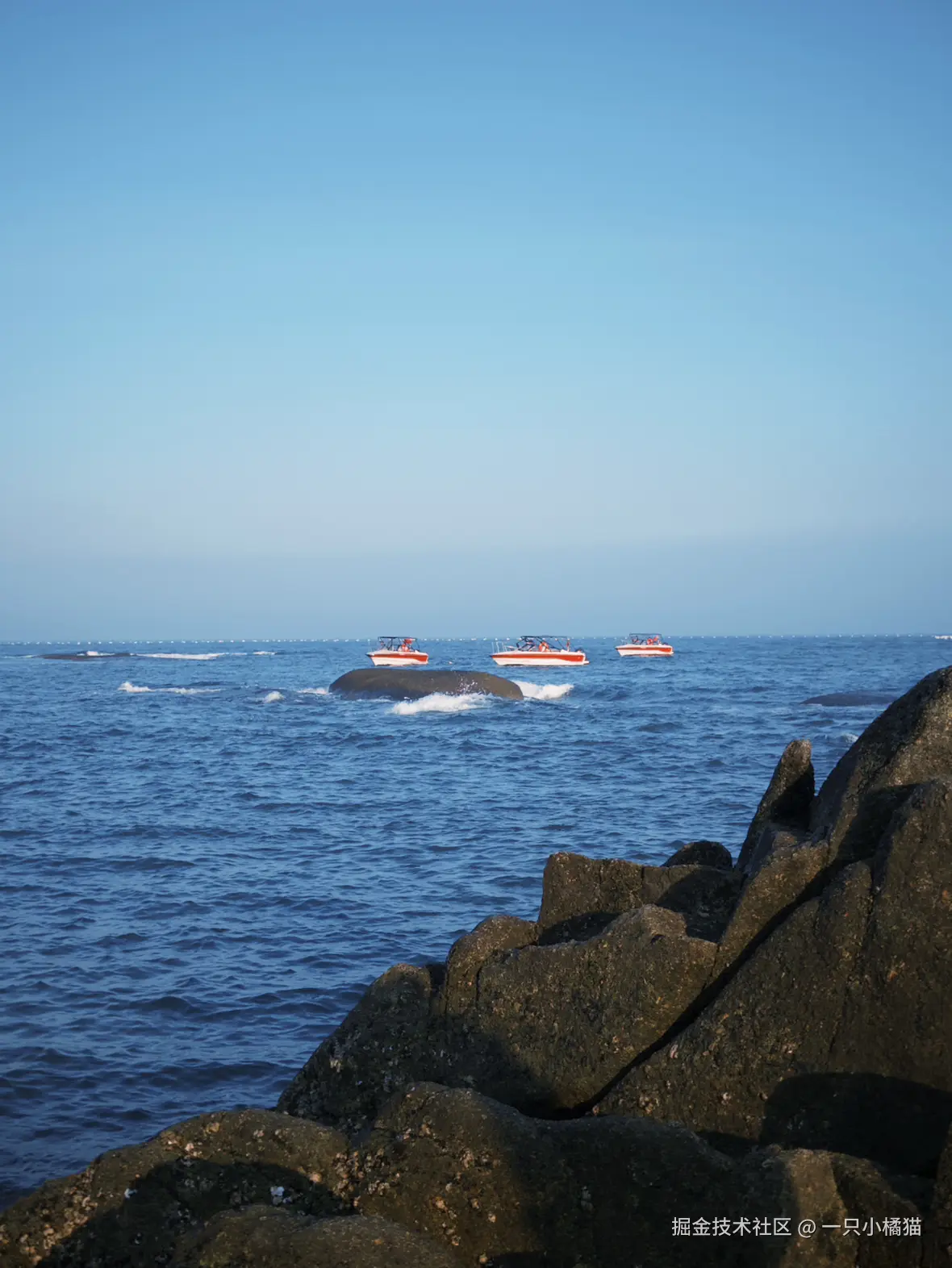 一只小橘猫于2025-07-05 21:44发布的图片