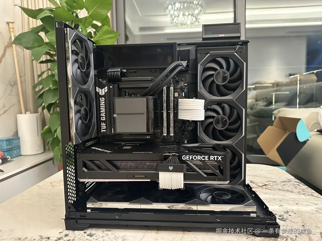 一条有梦想的咸鱼_于2025-09-08 16:40发布的图片