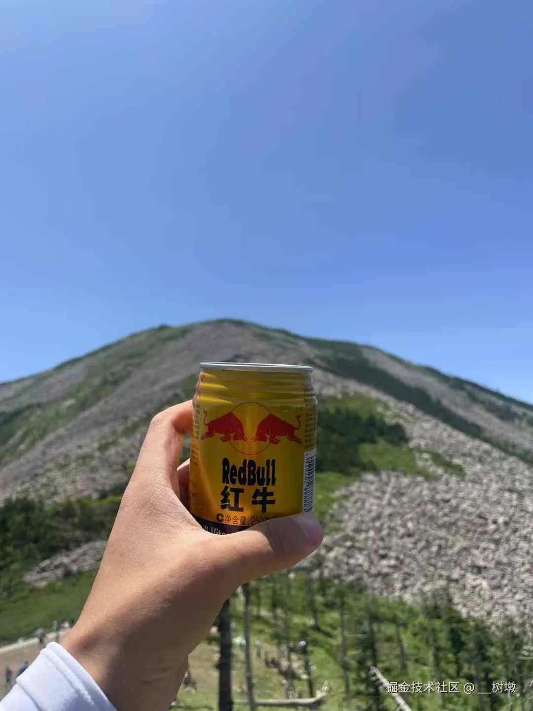 __树墩于2025-06-16 10:33发布的图片